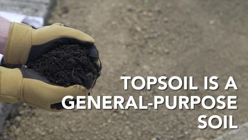 A thumbnail for the video