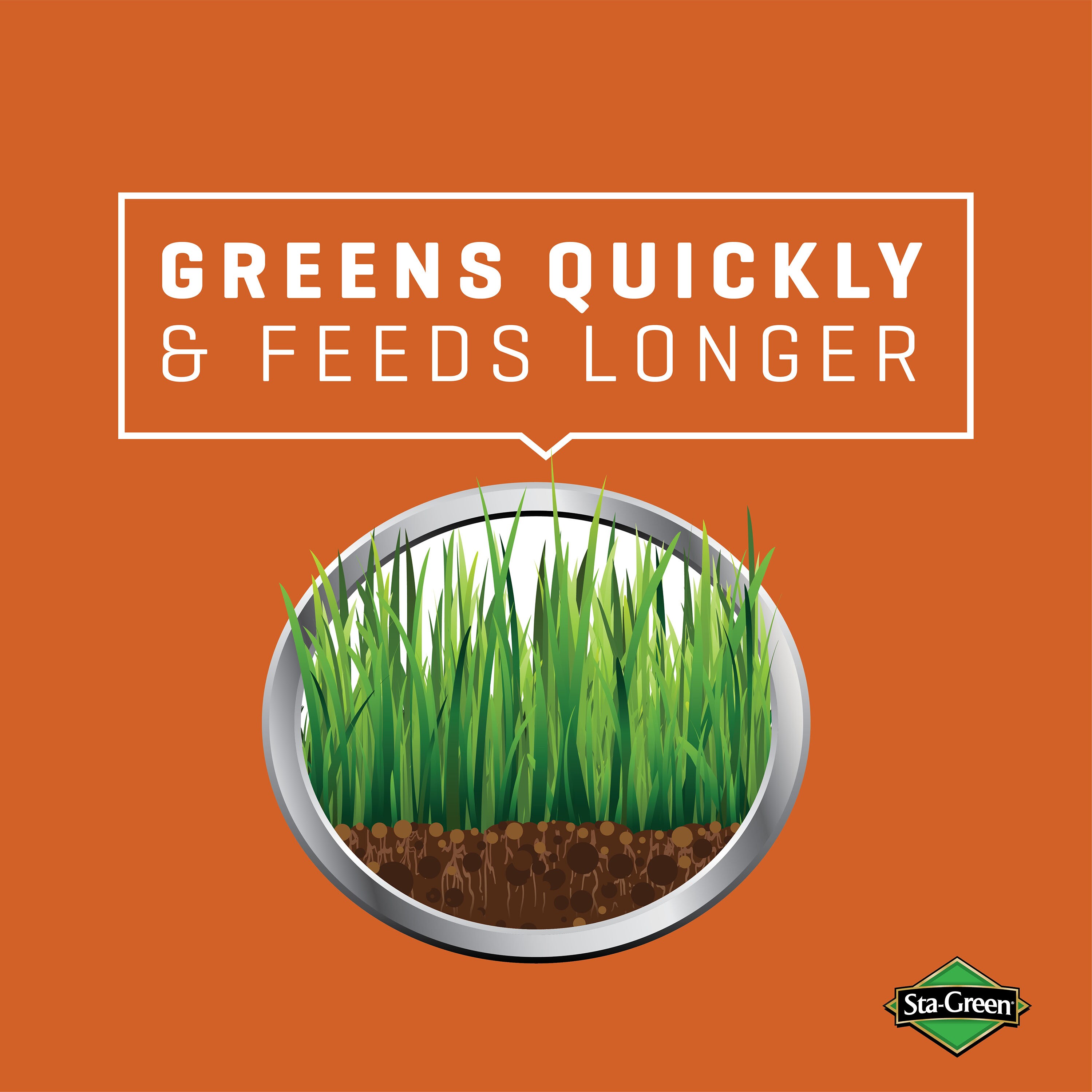Sta-Green 2149601778 Lawn-Fertilizer - View #4