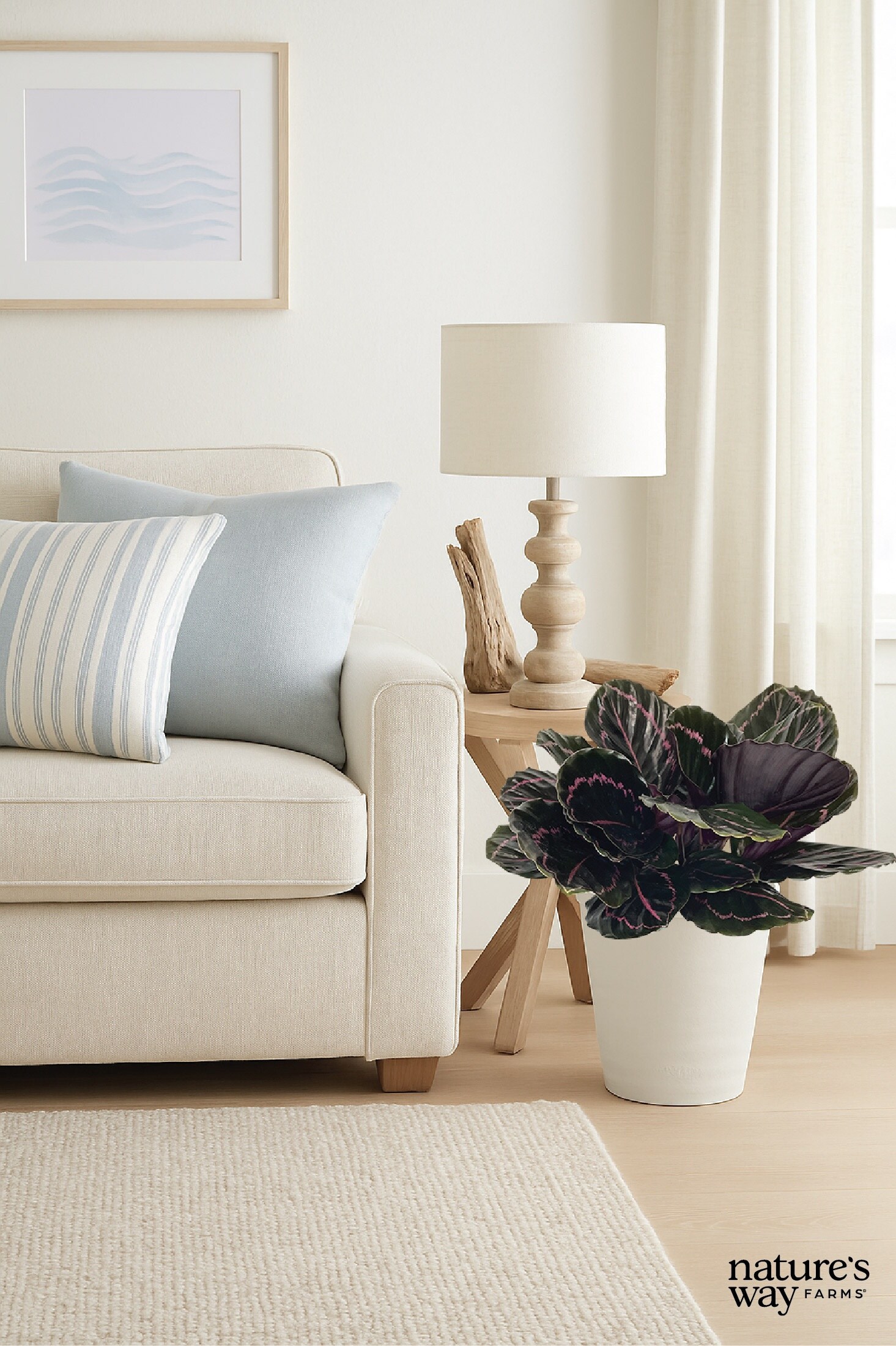 Nature's Way Farms 6021618 perennials - View #3