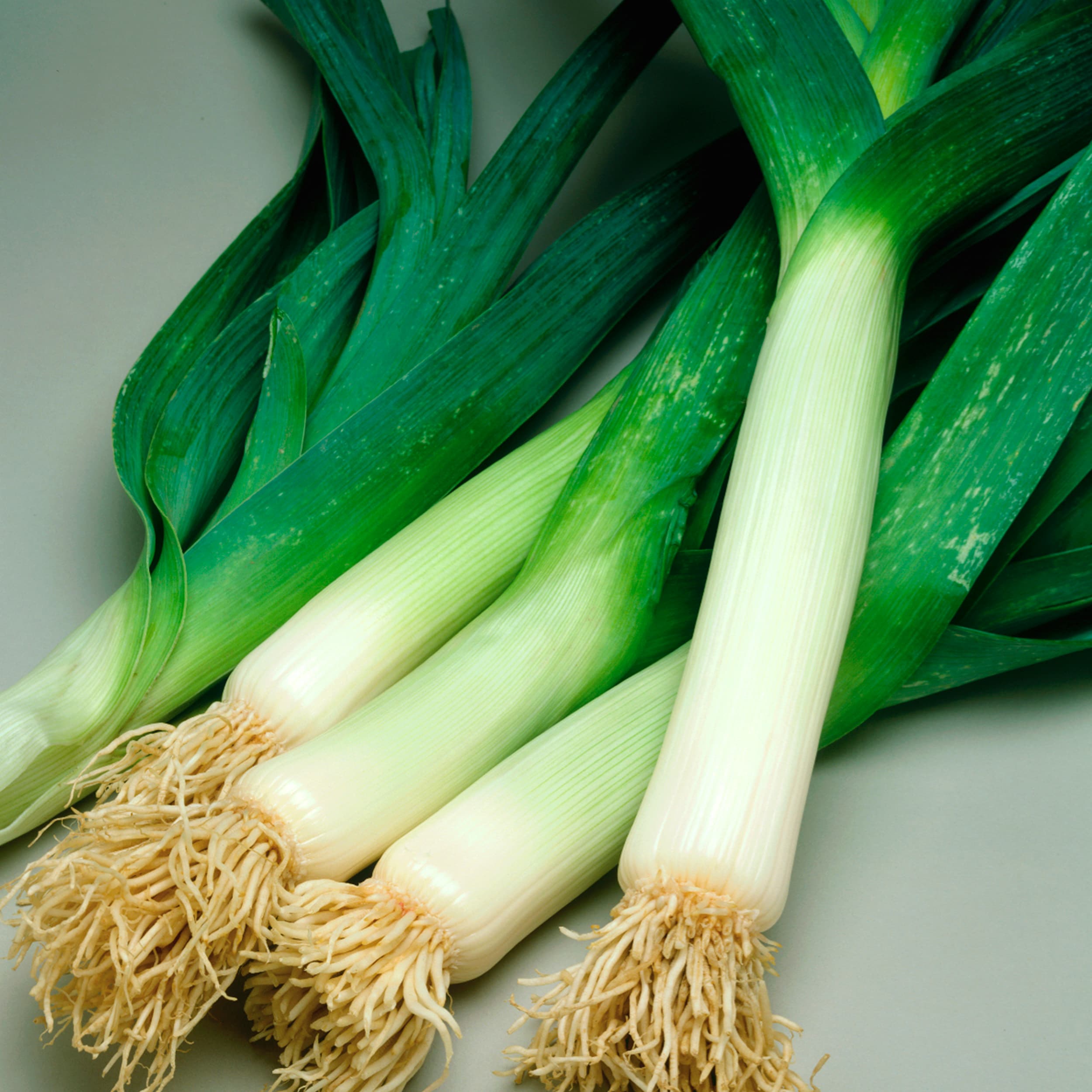 Ferry-Morse LC25.7381 Vegetable-Herb-Seeds - View #3