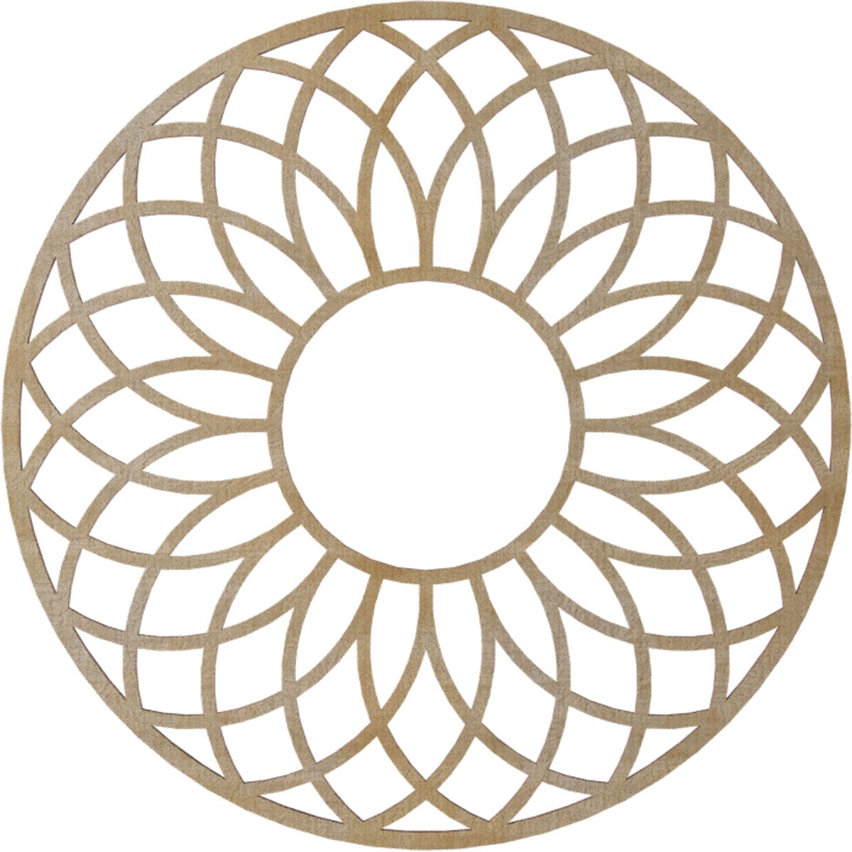 Ekena Millwork CMWP22X22X0250CNBI Ceiling-Medallions - View #4