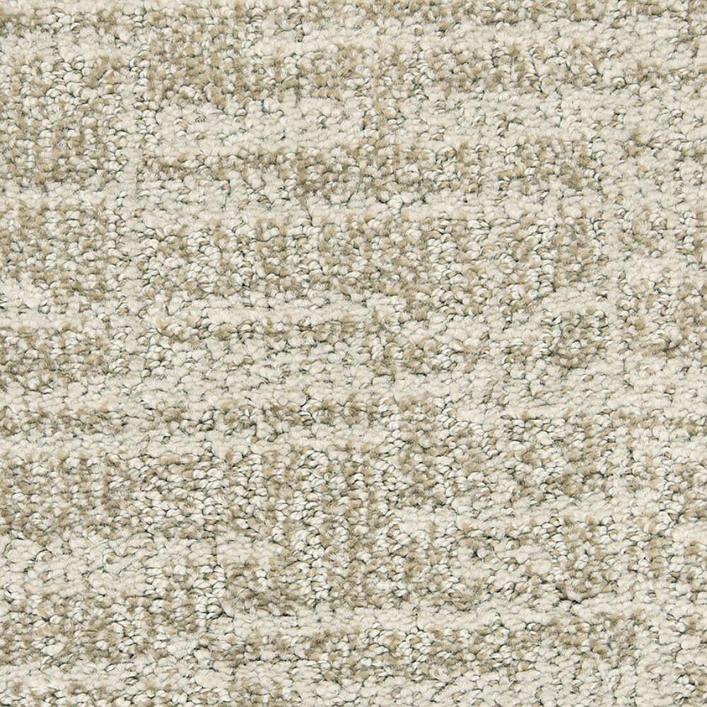 STAINMASTER 8811-107S (Sample) Signature Likelihood Everlasting Pattern Carpet