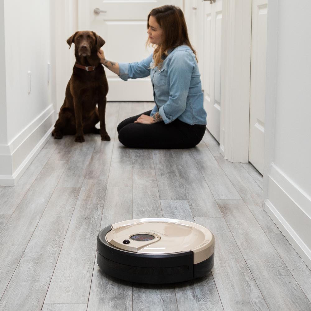 bObsweep WB4727546CH Robotic-Vacuums - View #7