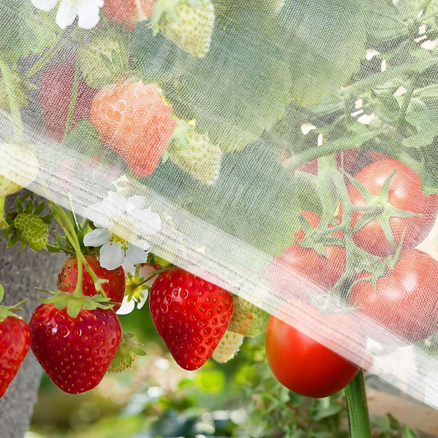 MaseiKar 60 Mesh Garden Insect Netting (10x5FT) PE Garden Mesh Pest ...