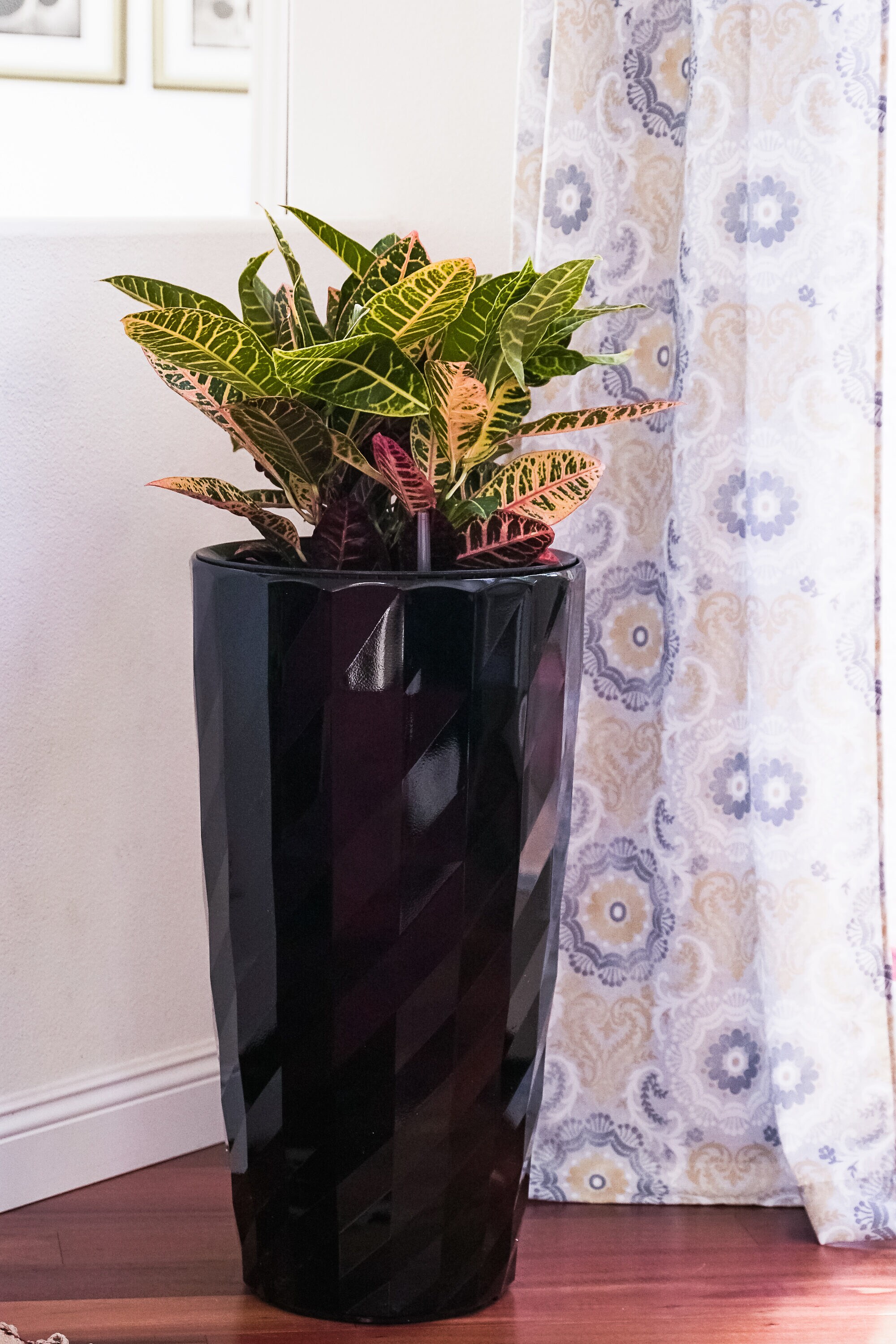 XBrand SWPL70BK Planter-Window-Box - View #8