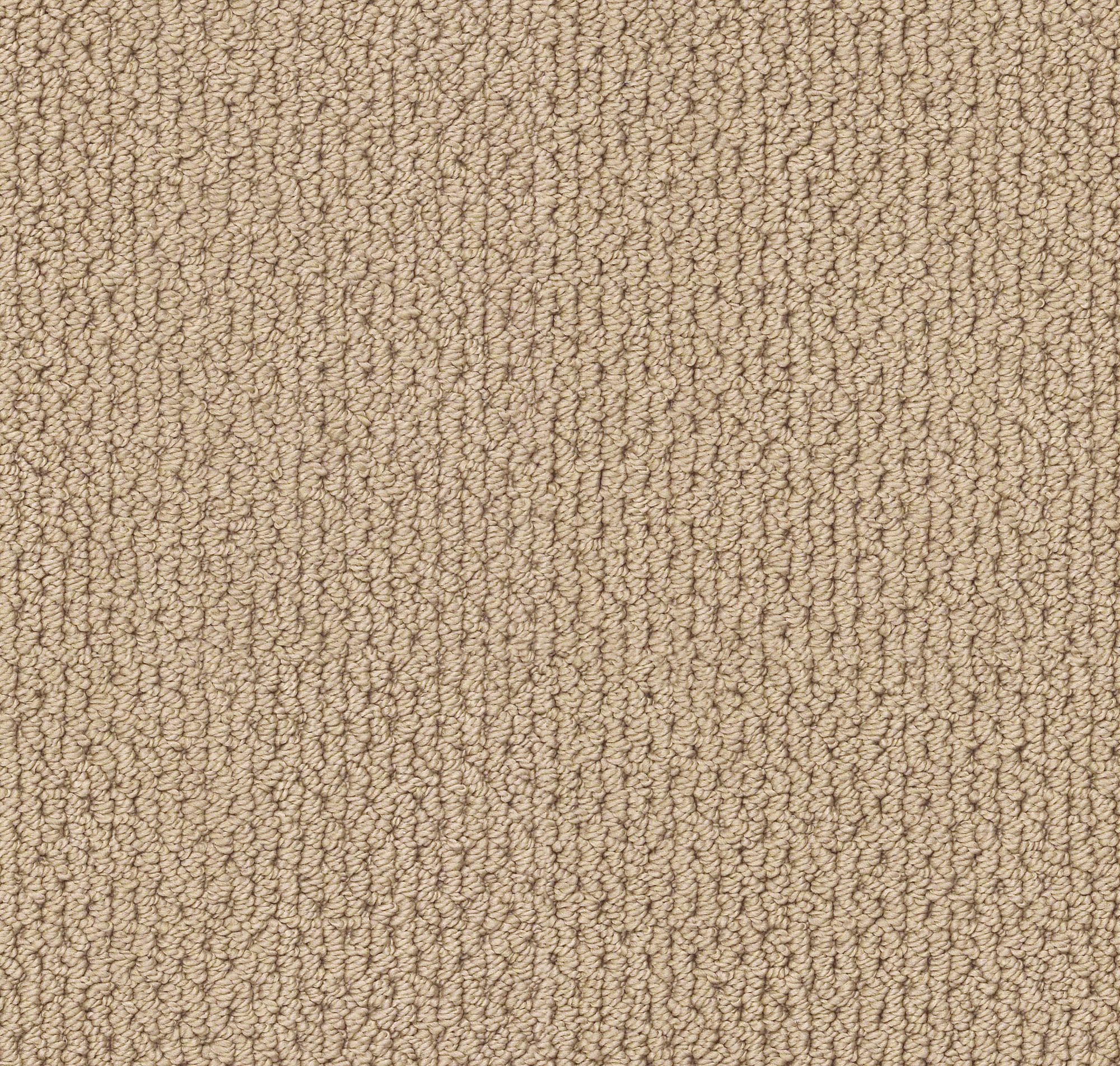 STAINMASTER 7L873 - 127 - SAMP (Sample) Regenerating Golden Brown 34.1-oz sq yard Nylon Textured Indoor Carpet