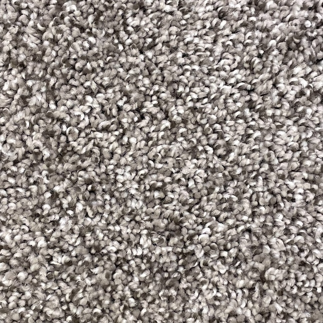 STAINMASTER Notorious Gaucho Textured Carpet (Indoor) in the Carpet  department at Lowes.com