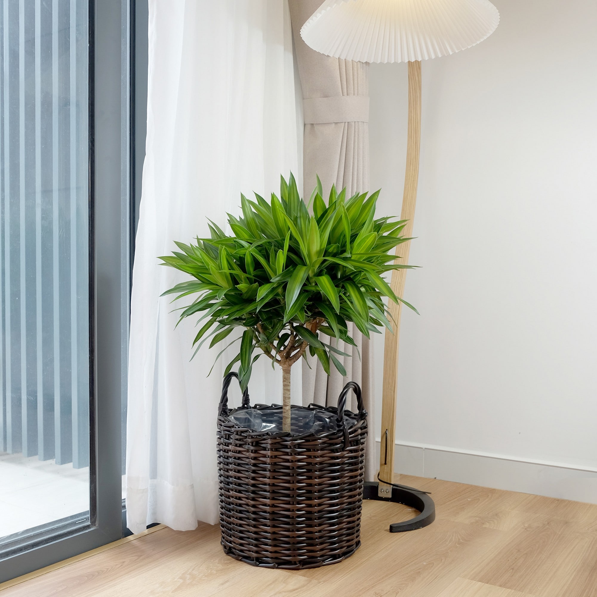 Yiekholo LL-1688AA 3 -Pack Round 15.7-in W x 17.3-in H x 15.7-in D Black Plastic Indoor/Outdoor with Self Watering Planter