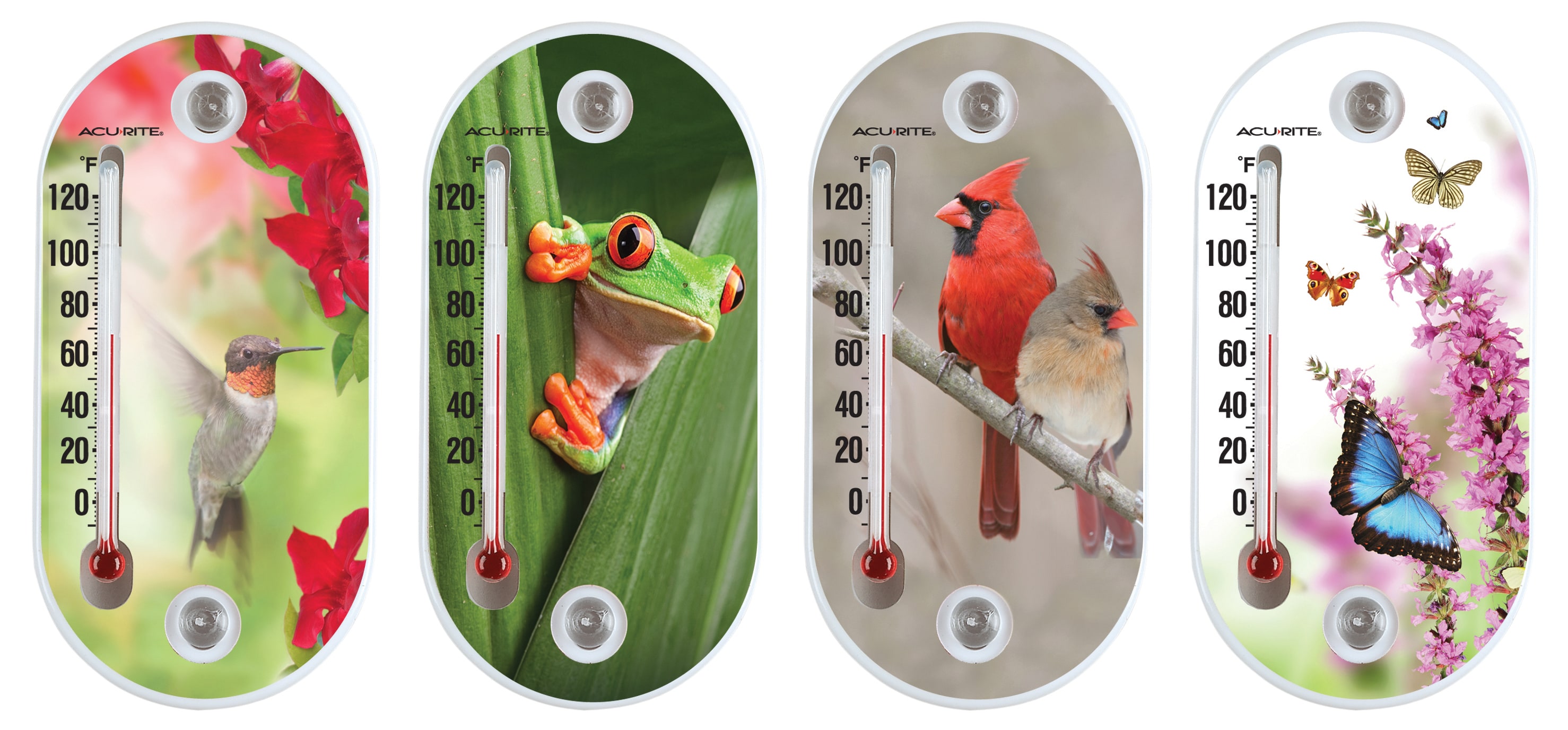 AcuRite 08565SBL Analog Outdoor Assorted colors Thermometer