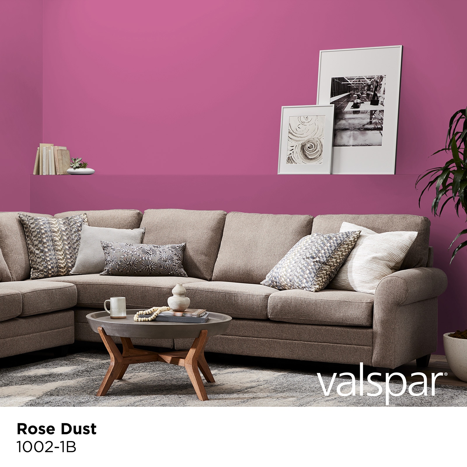 Valspar 1002-1B-28328 Int-Ext-Paint - View #2