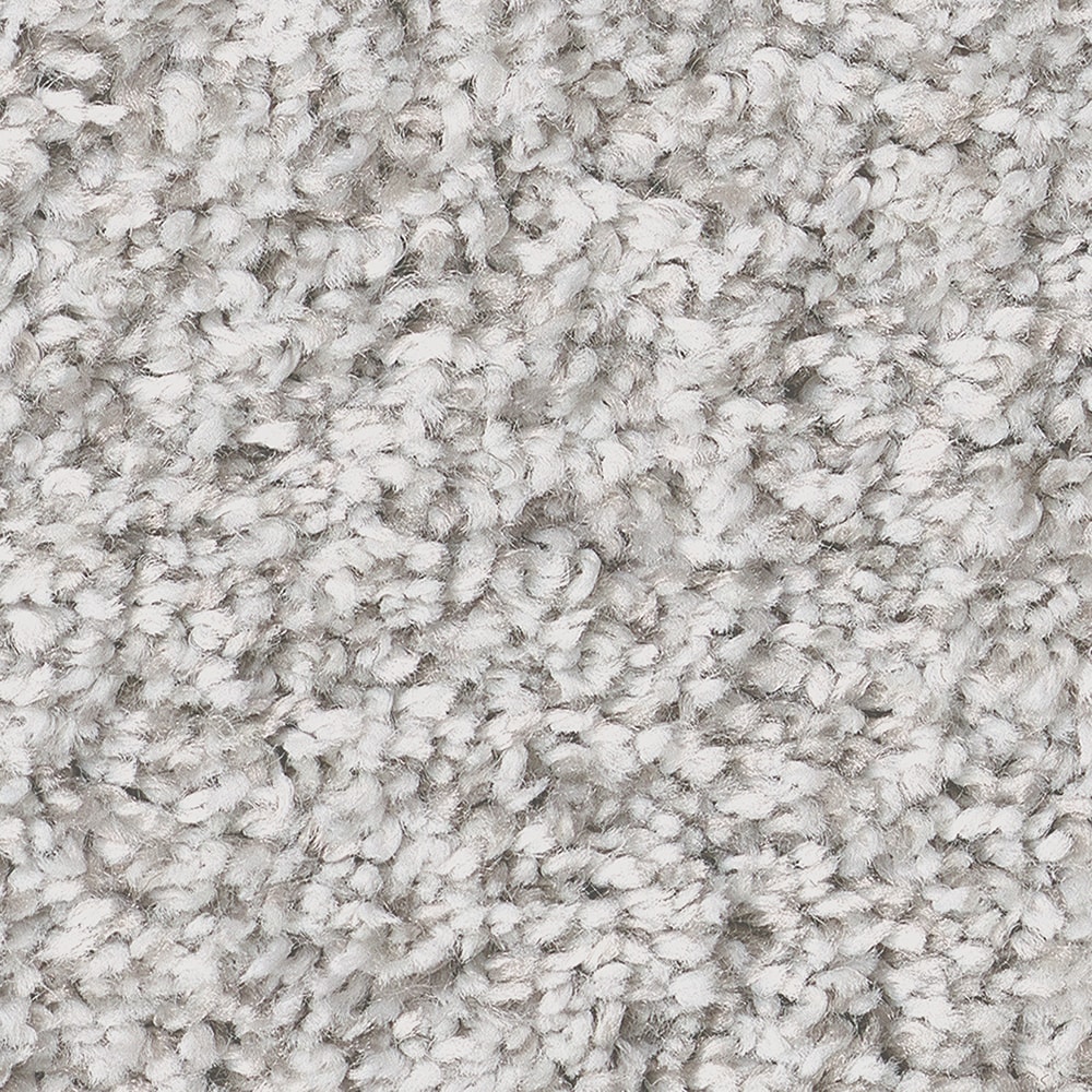 STAINMASTER (Sample) Peak Tranquility I English Streets Gray 43.9-oz sq yard Polyester Textured Indoor Carpet