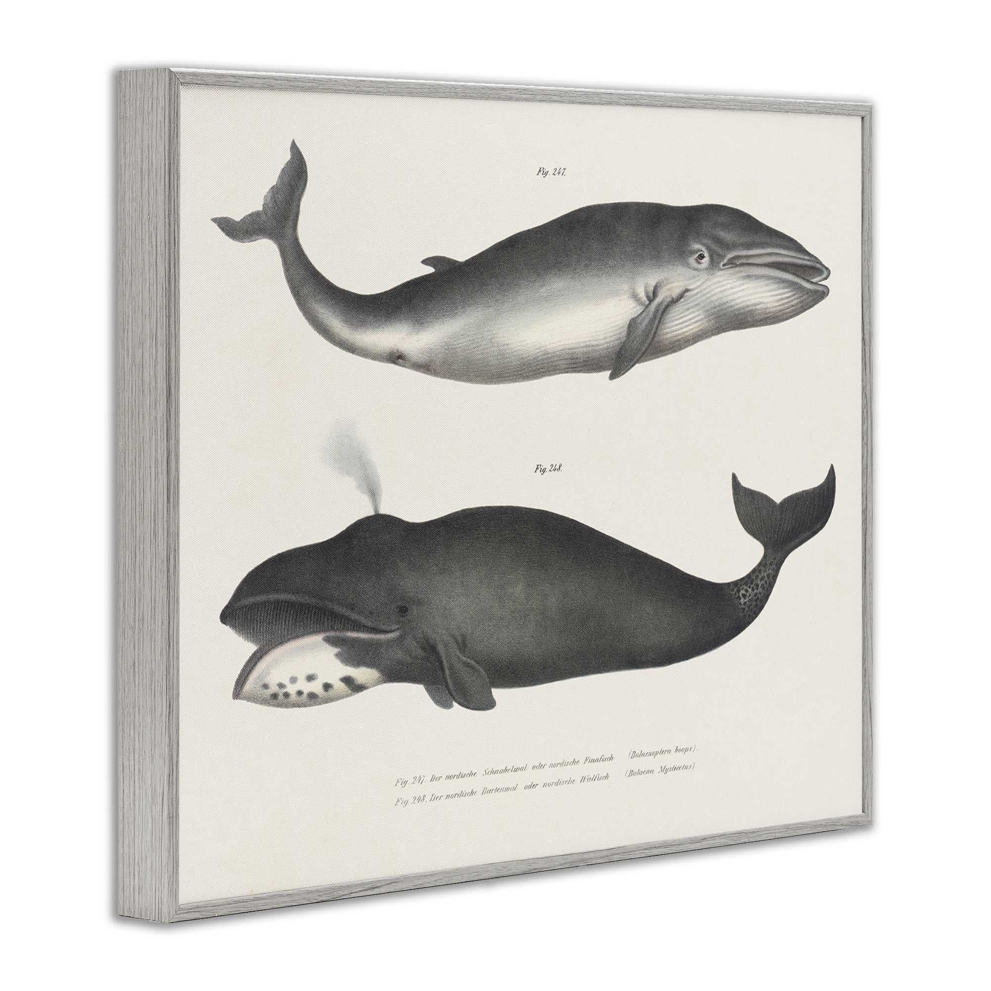 Stupell Industries BT-456-GFF-24X30 Wall-Art - View #2