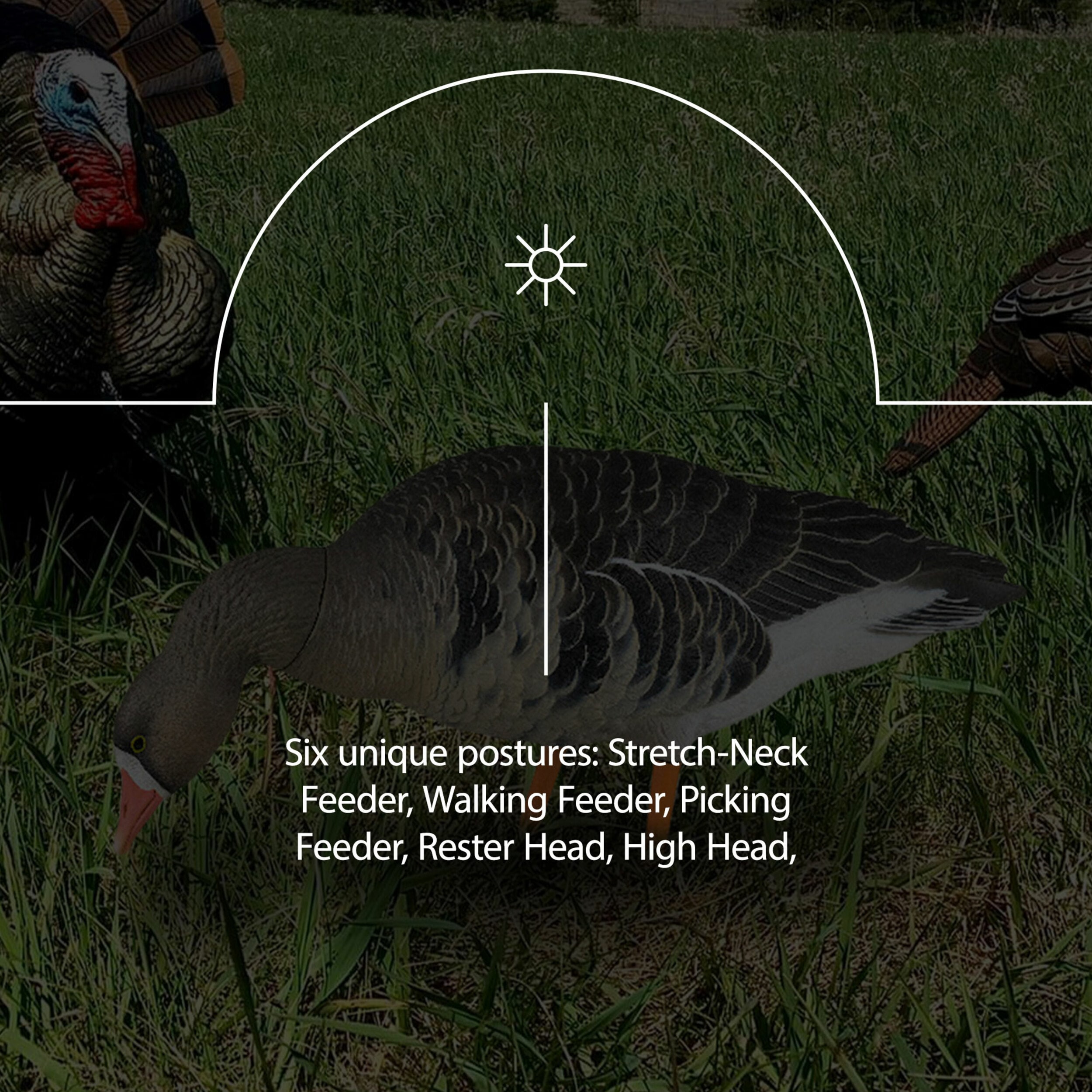  Avian X 408569 Hunting-Equipment - View #6