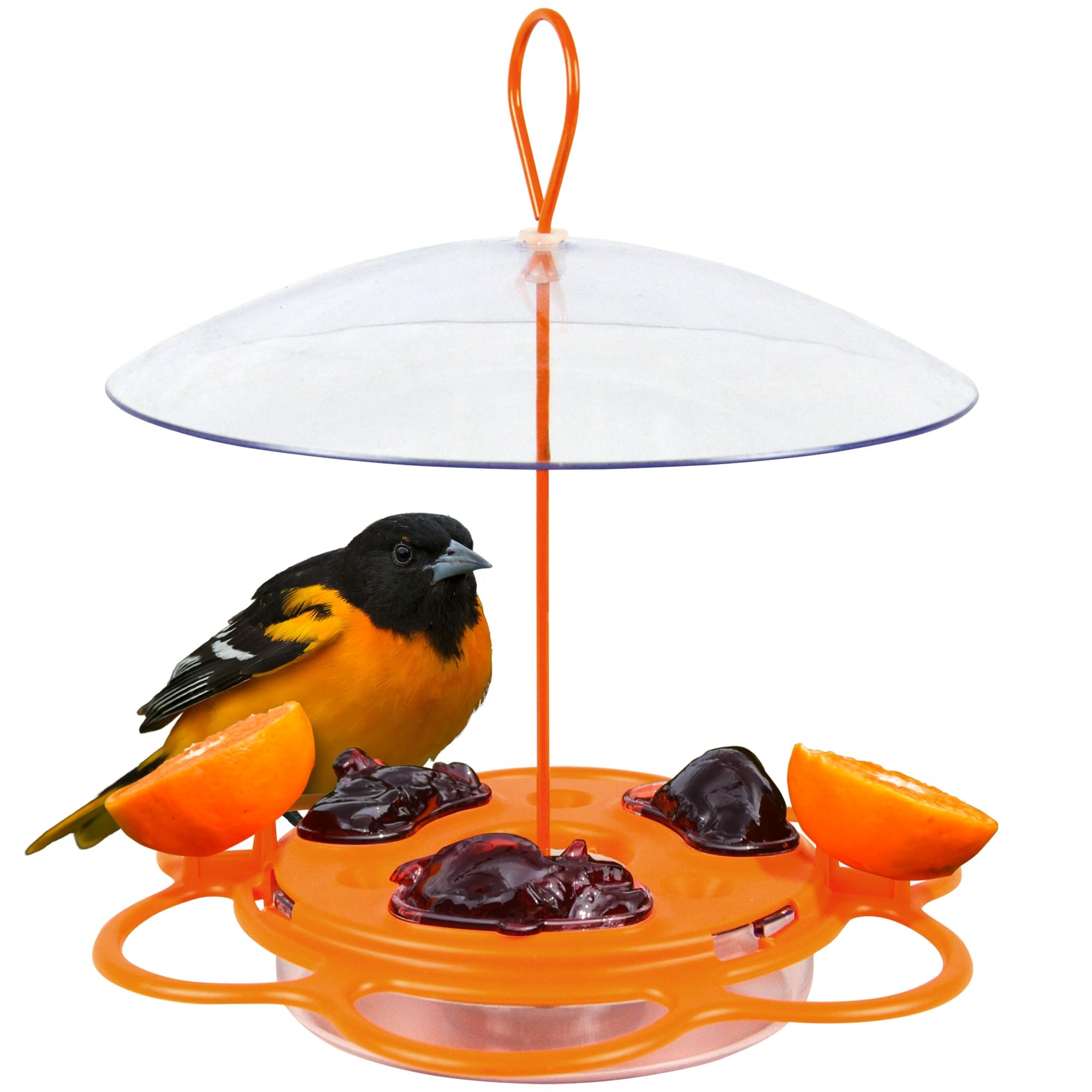 Nature's Way OFP1 All-in-One Oriole Buffet Bird Feeder Orange in
