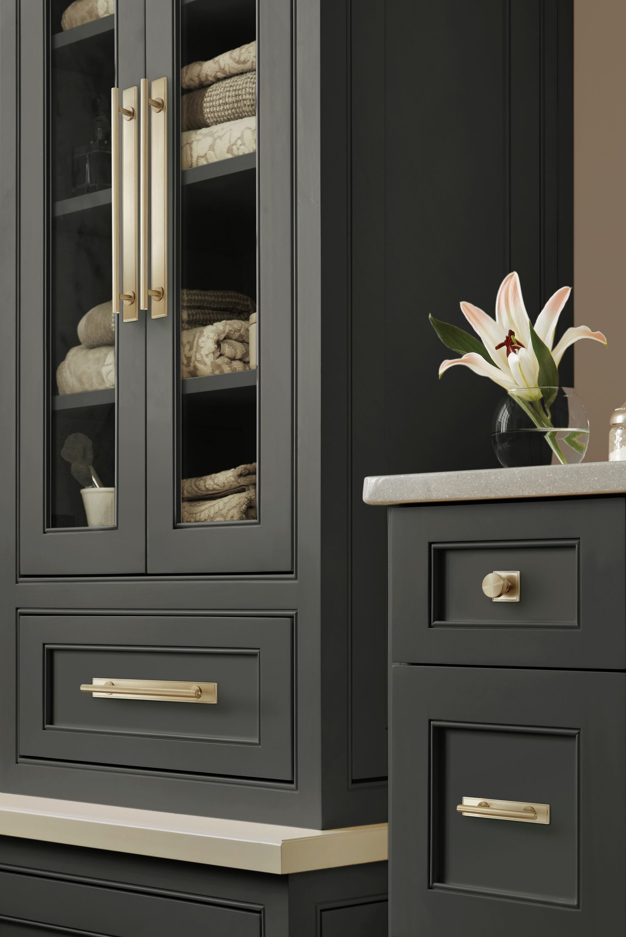 Amerock BP37607BBZ backplates - View #2