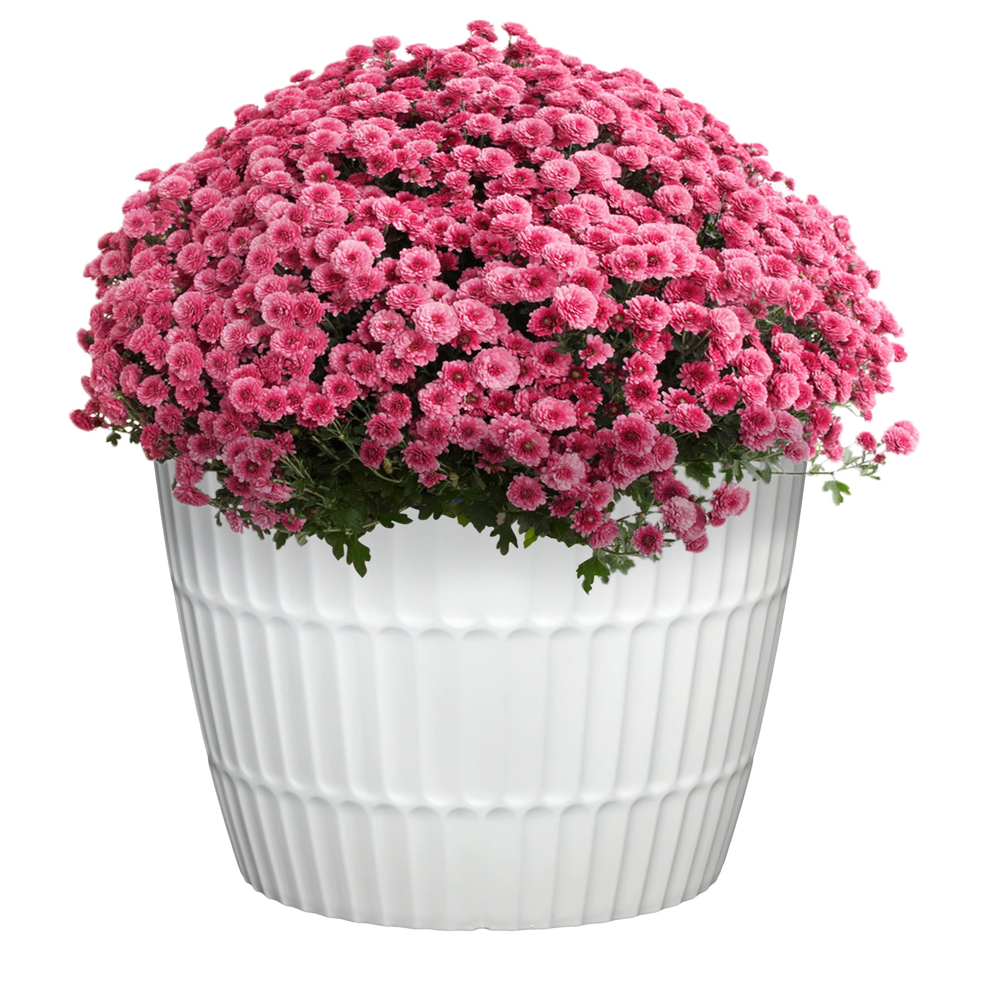 Style Selections PLG1712PWG Planter-Window-Box - View #3