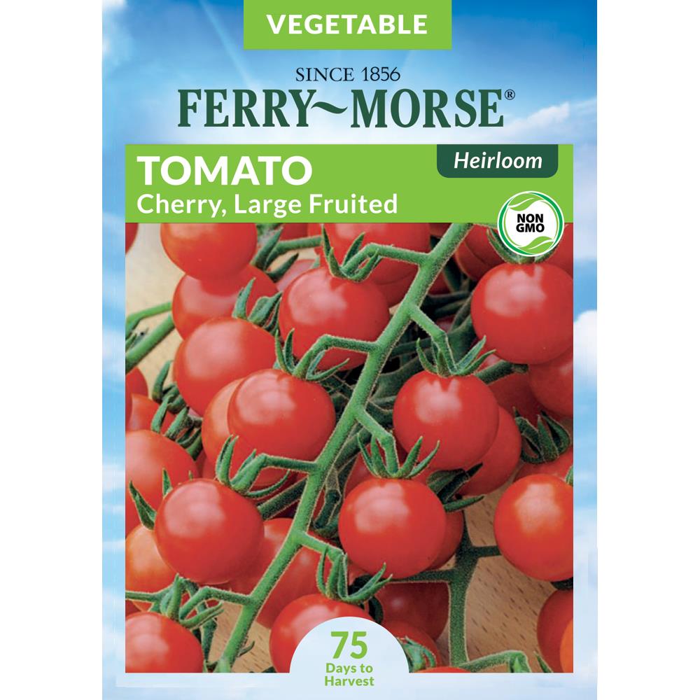 Tomato, Brandywine Red Annual Vegetable Organic Seeds – Ferry-Morse
