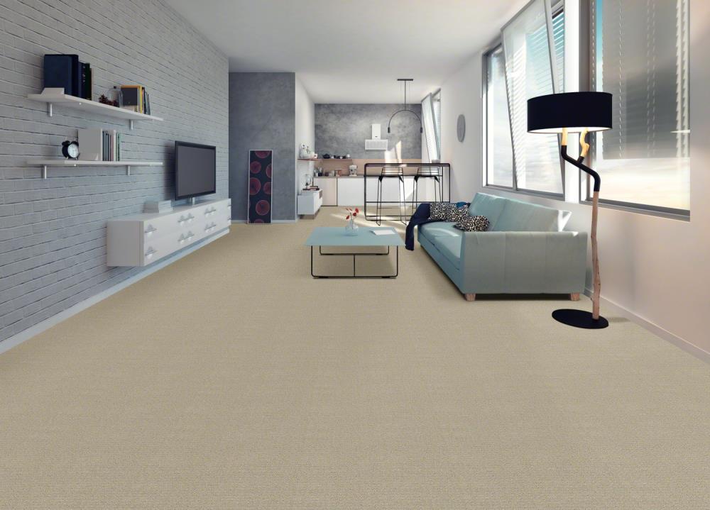 STAINMASTER 7L77100190 Carpet-Panel - View #2