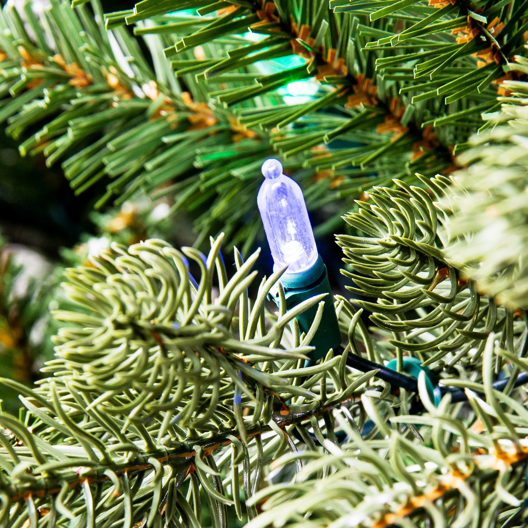 Holiday Living W14L0486  - View #4