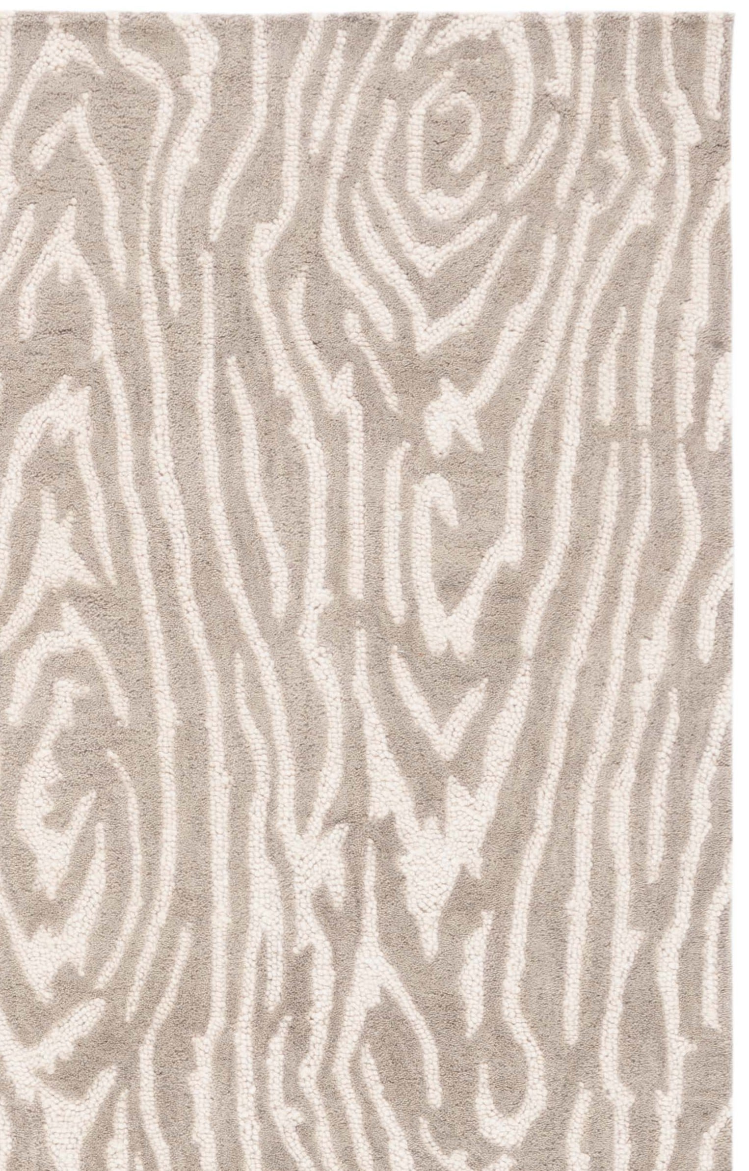 Safavieh EBN550F-6 rugs - View #5