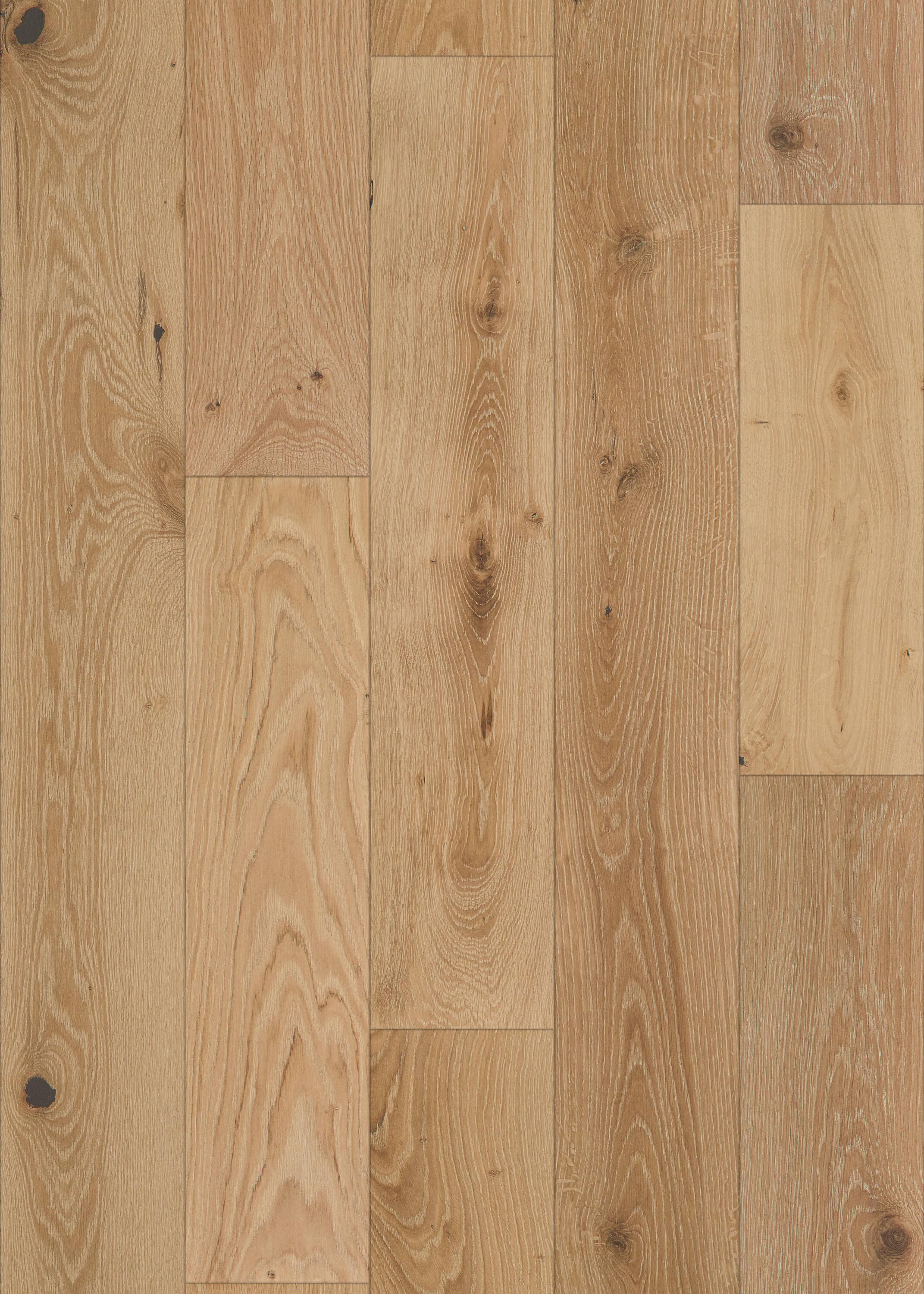 Shaw LX77402048 Wood-Floors - View #6
