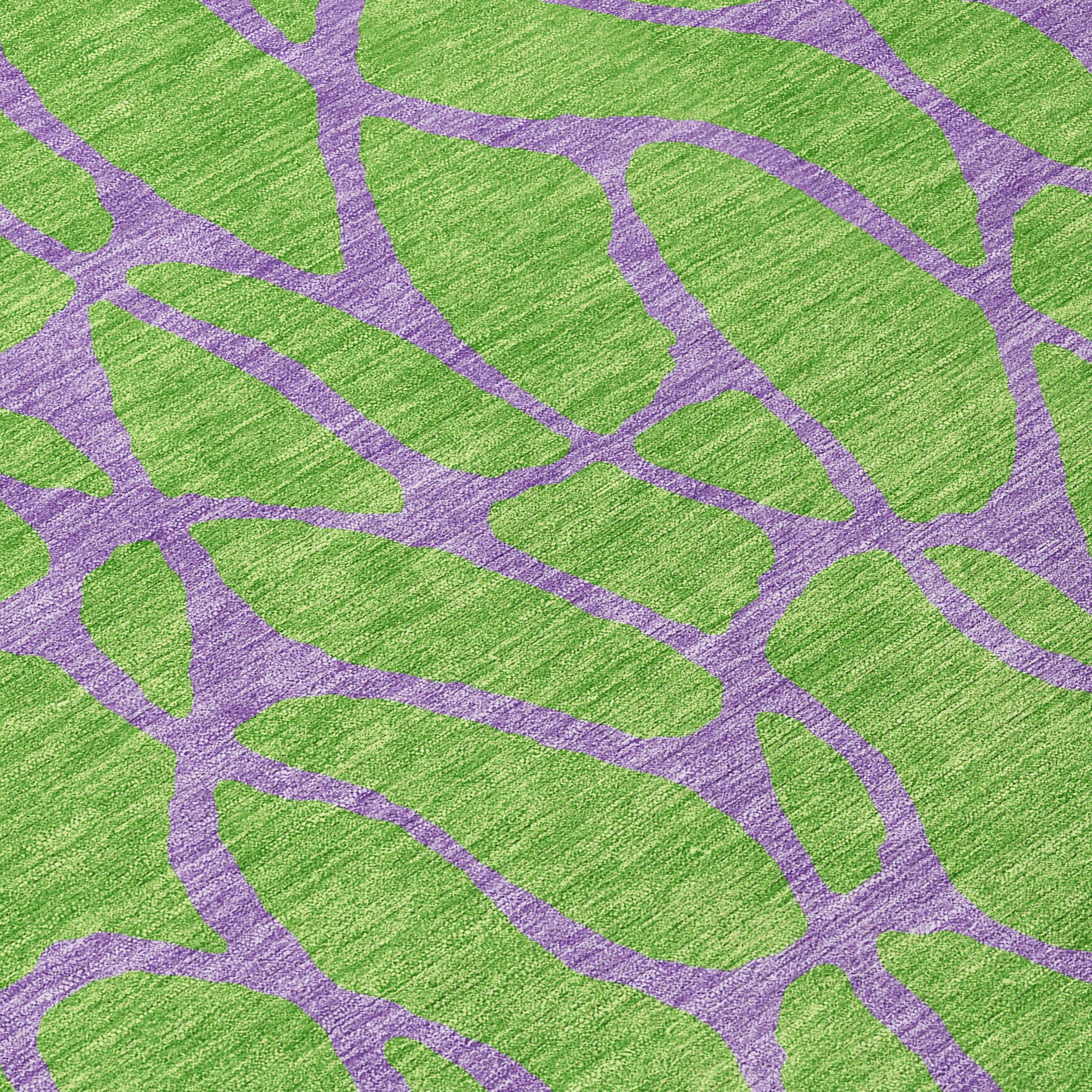 Addison Rugs ACN1023LM30X46 rugs - View #6