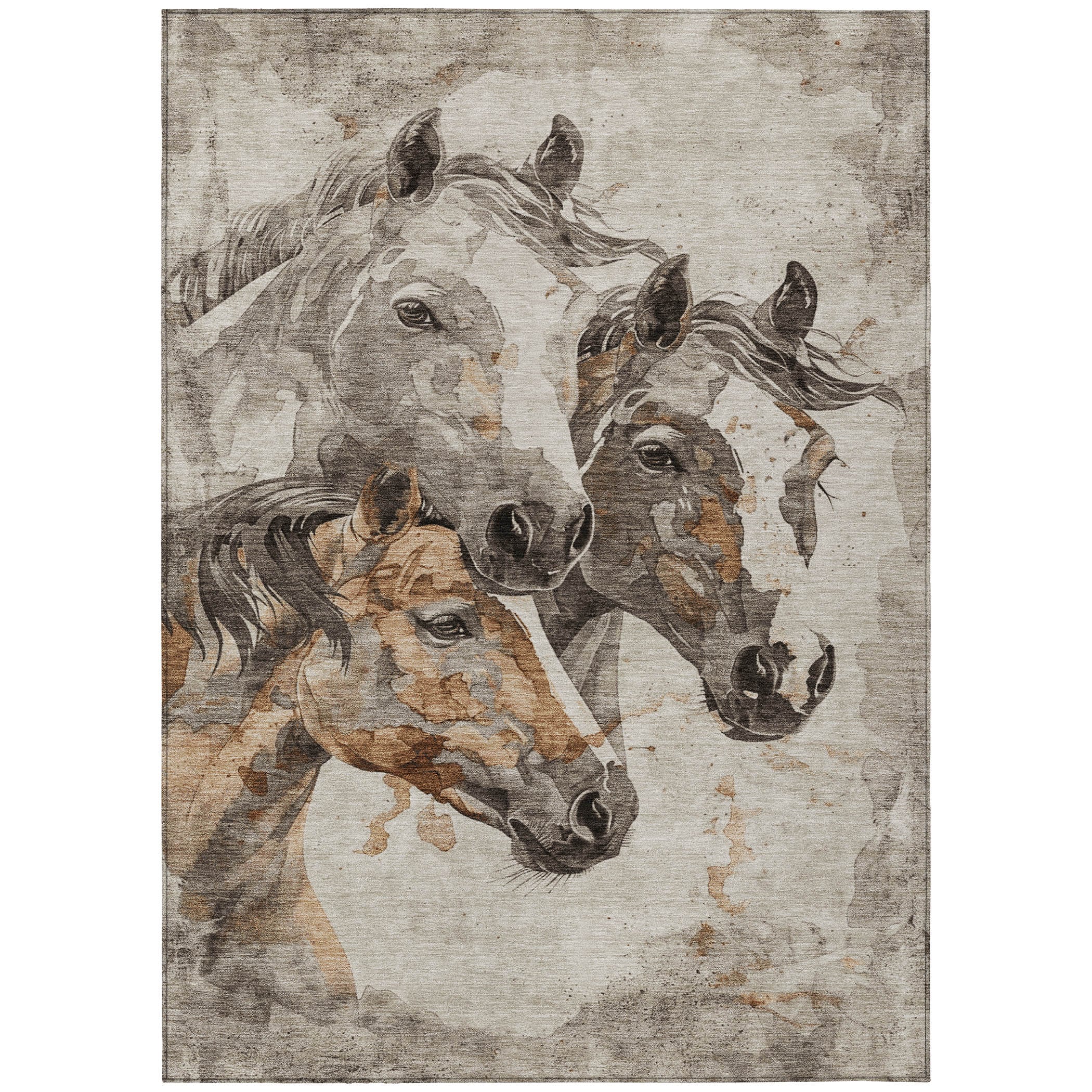 Addison Rugs ACN1718BG3X5 rugs - View #2