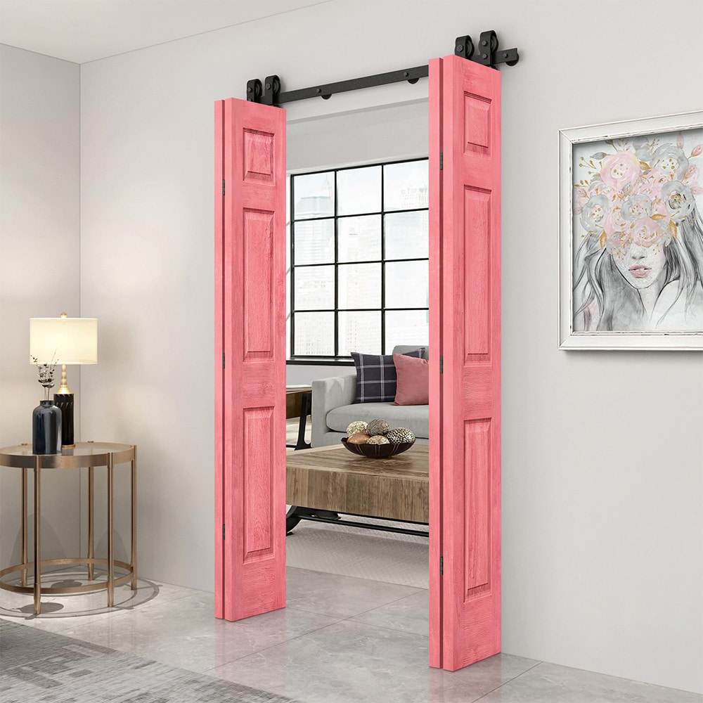CALHOME 1905-4T+6P36-BRSC(2 Barn-Doors - View #2