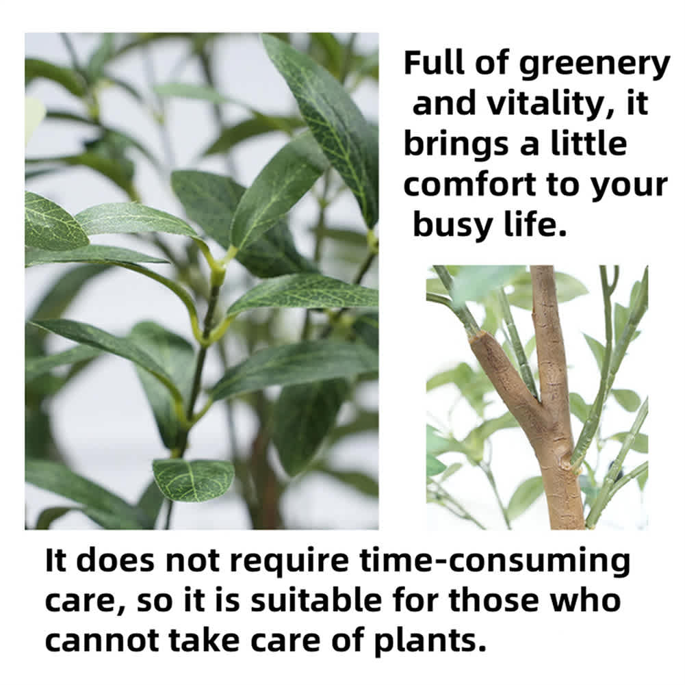 Armen Living WLS-FQZOL-8XQKMGDN Artificial-Plants-Trees - View #5