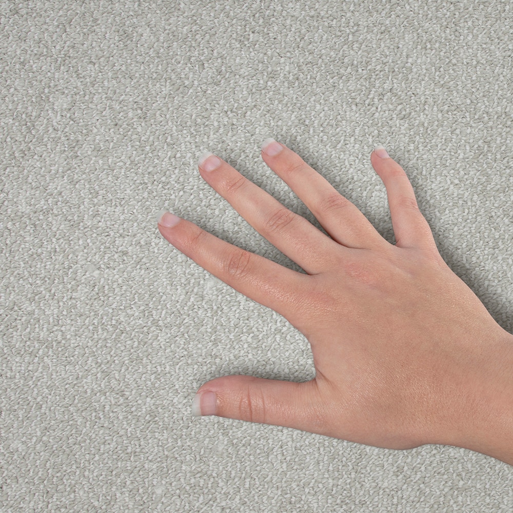 STAINMASTER SS081-15-L003 Carpet-Panel - View #4