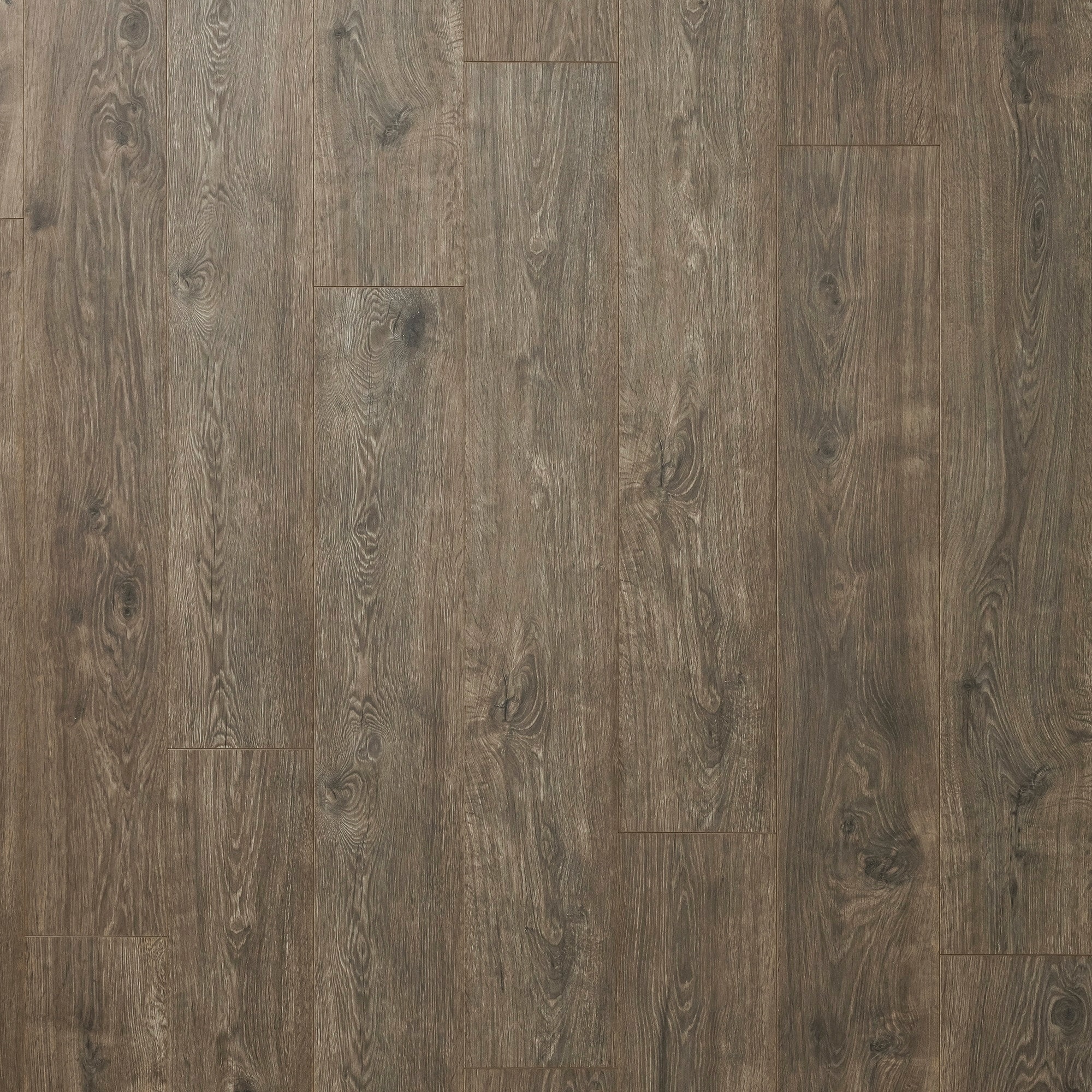 Pergo SPC1302653 (Sample) Xtra Sample Elegant Oak Waterproof Wood Plank Laminate Flooring