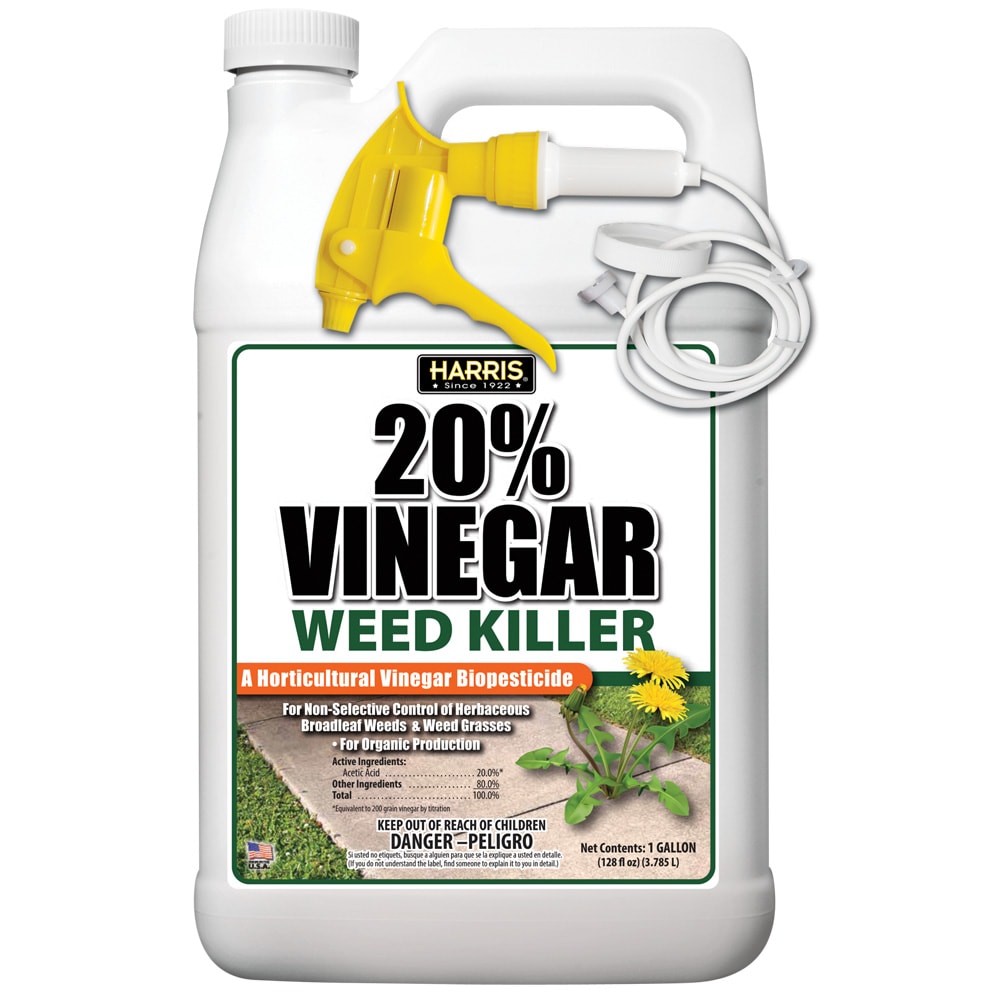 Image of Vinegar weed killer
