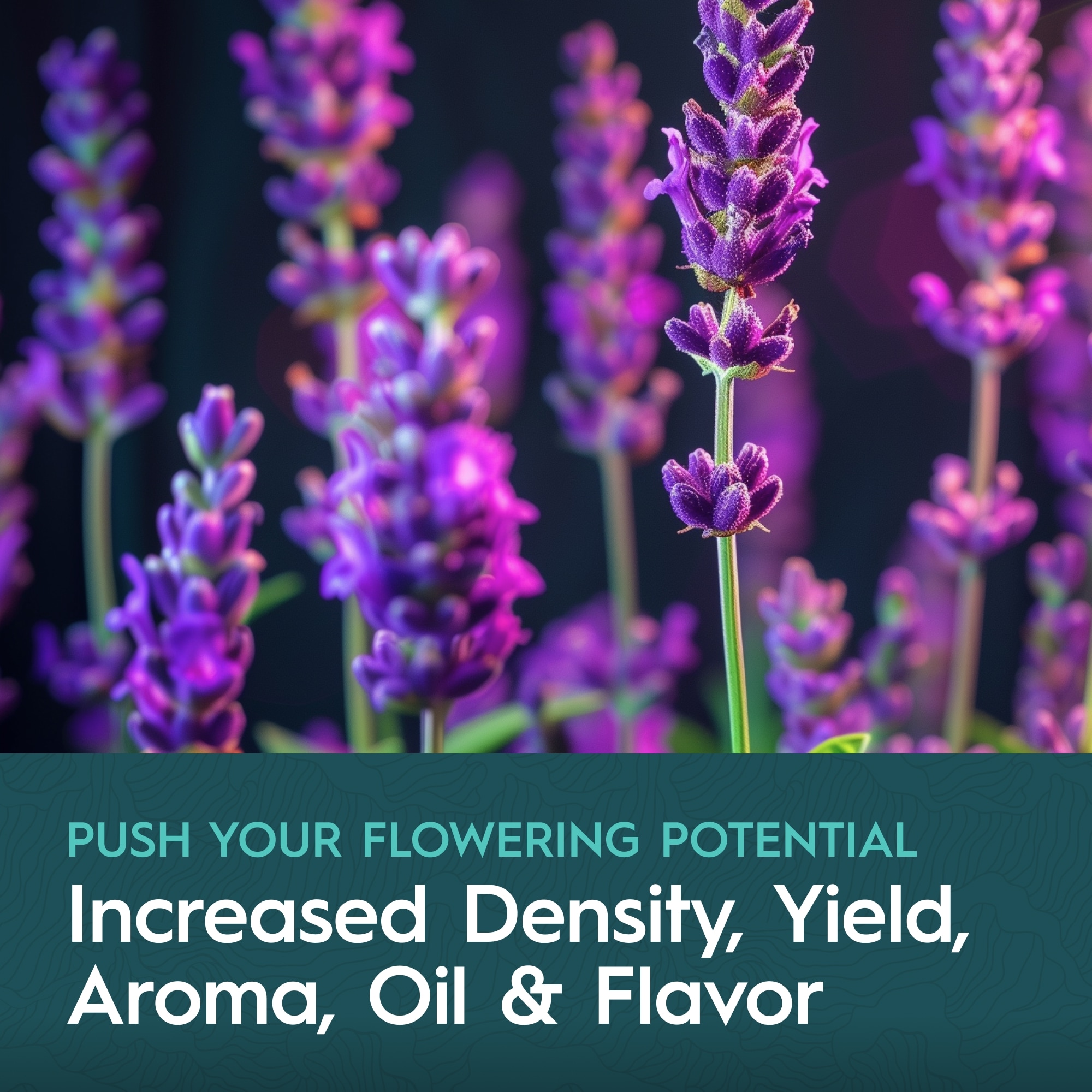 Drip Hydro 28076 Plant-Food - View #5