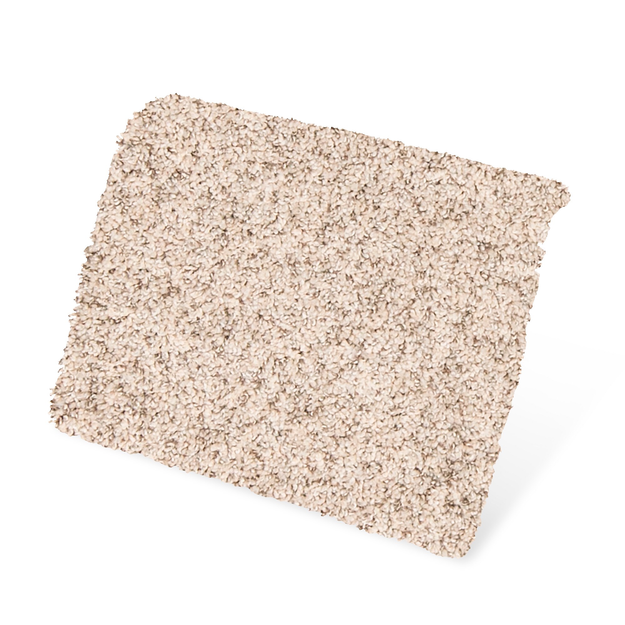 STAINMASTER PetProtect SS059-L005-S0808 Carpet-Samples - View #3