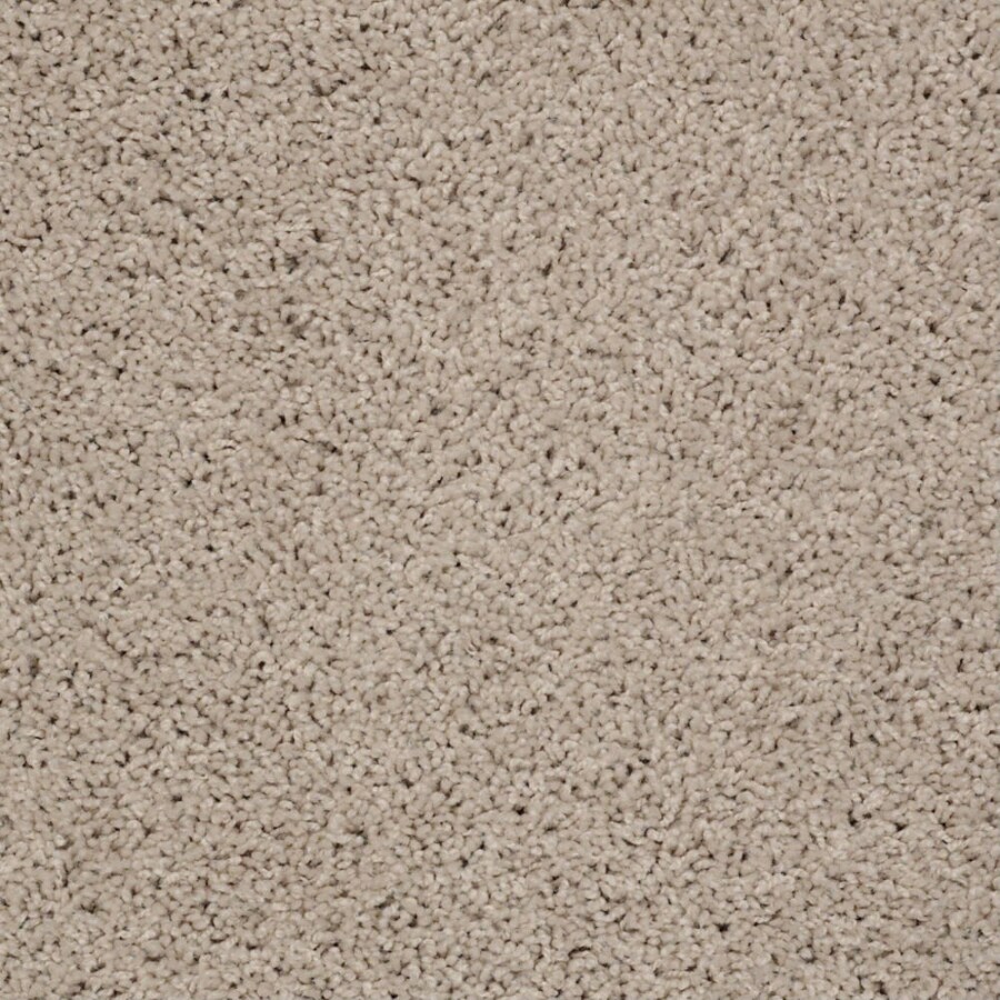 STAINMASTER 7L42100107 Active Family Tranquility Pumice Stone Brown 25-oz sq yard Nylon Shag/Frieze Indoor Carpet