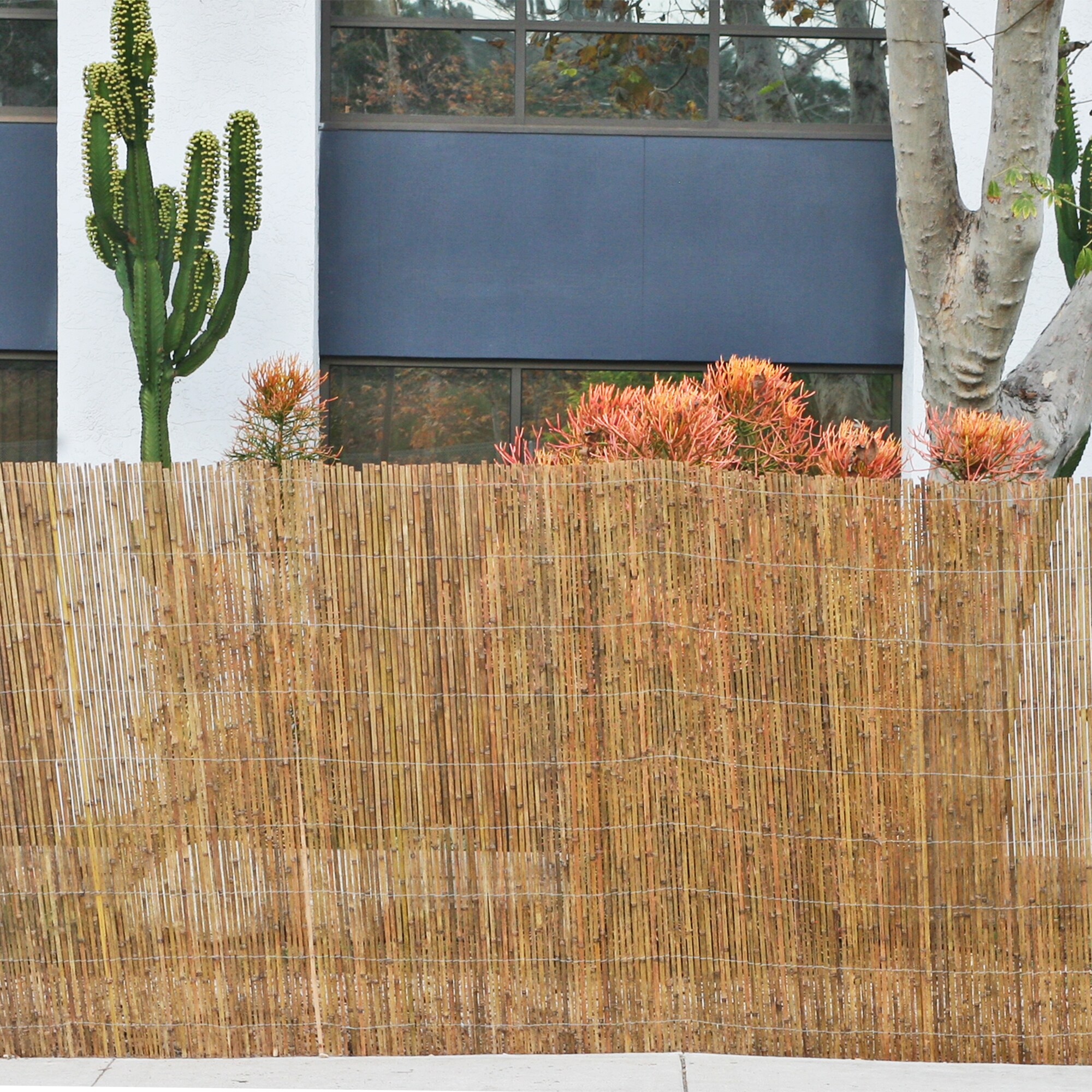 Backyard X-Scapes 20-BSC6 Wood-Fence-Panels - View #7
