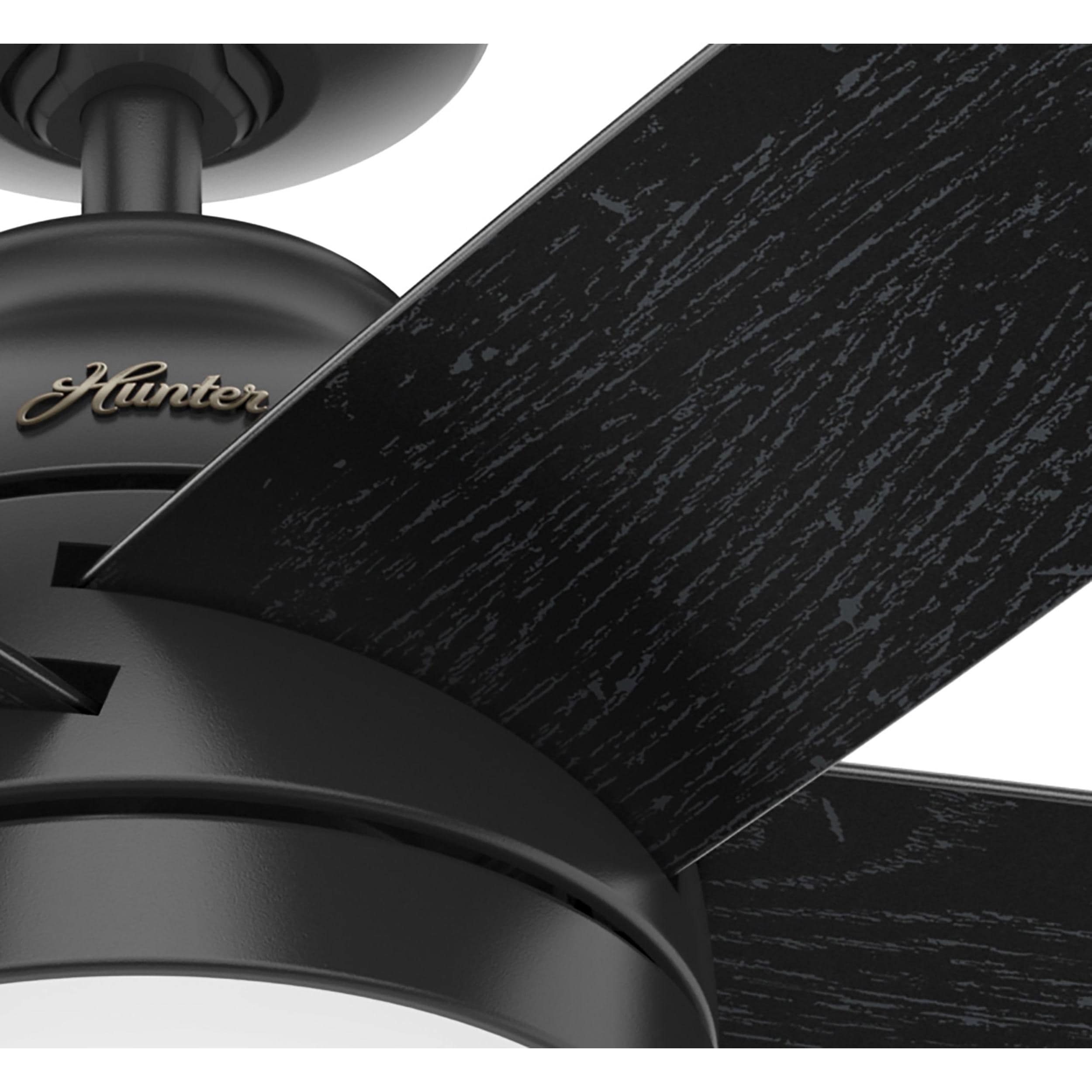 Hunter 51350 Ceiling-Fans - View #15