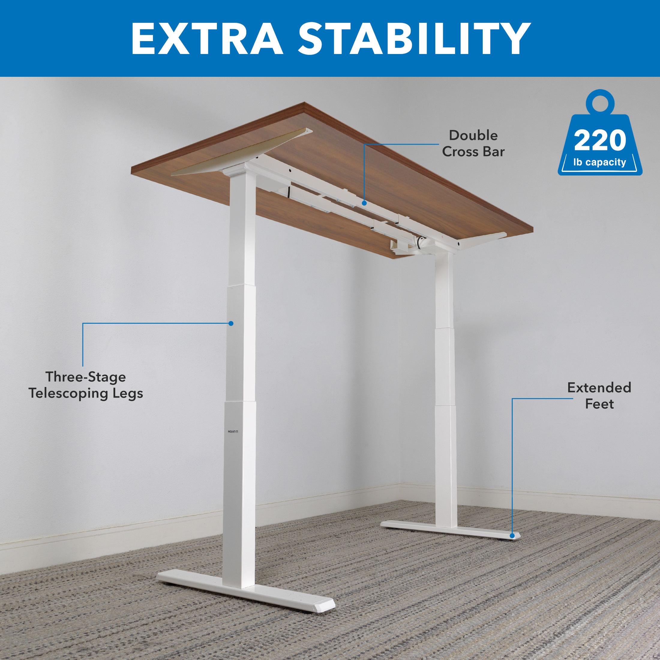 ErgoMaster Pro White Electric Sit/Stand Desk with Brown Top and Dual Motor