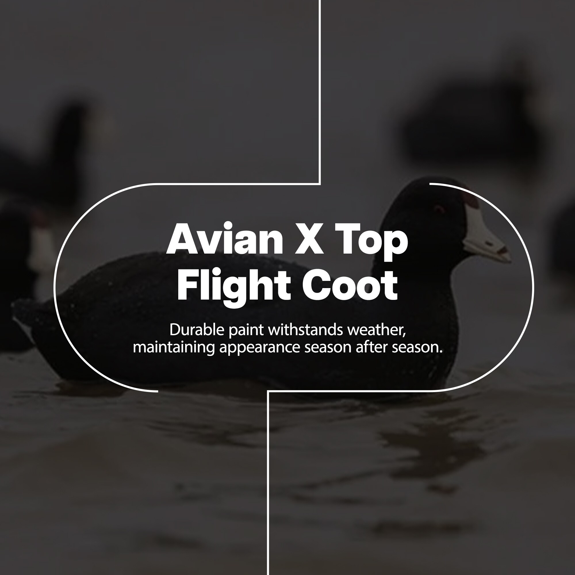  Avian X 399287 Hunting-Equipment - View #2