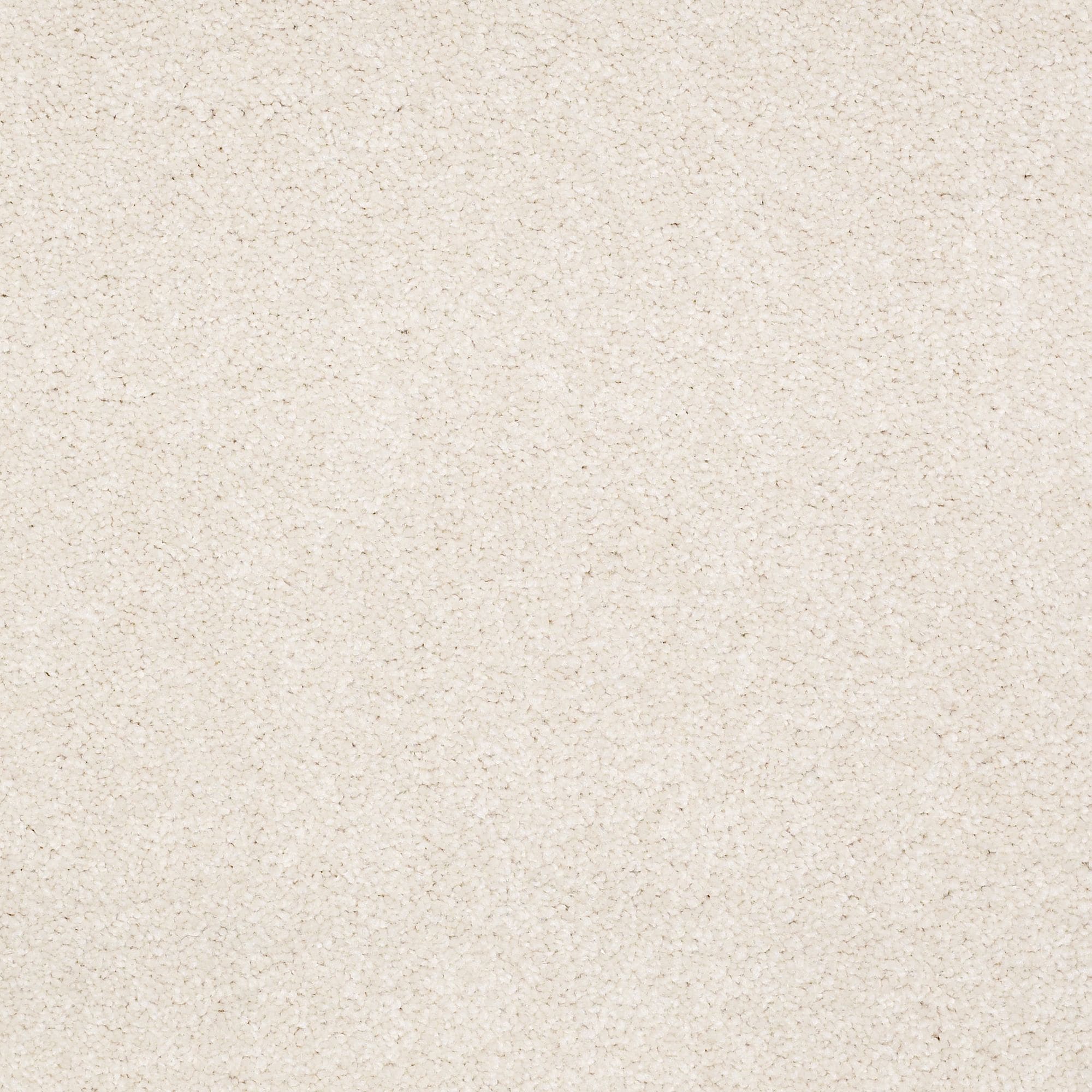 STAINMASTER PetProtect 7L881 - 101 - SAMP (Sample) Best Of Breed I Cream Delight Off-white 48.8-oz sq yard Nylon Textured Indoor Carpet