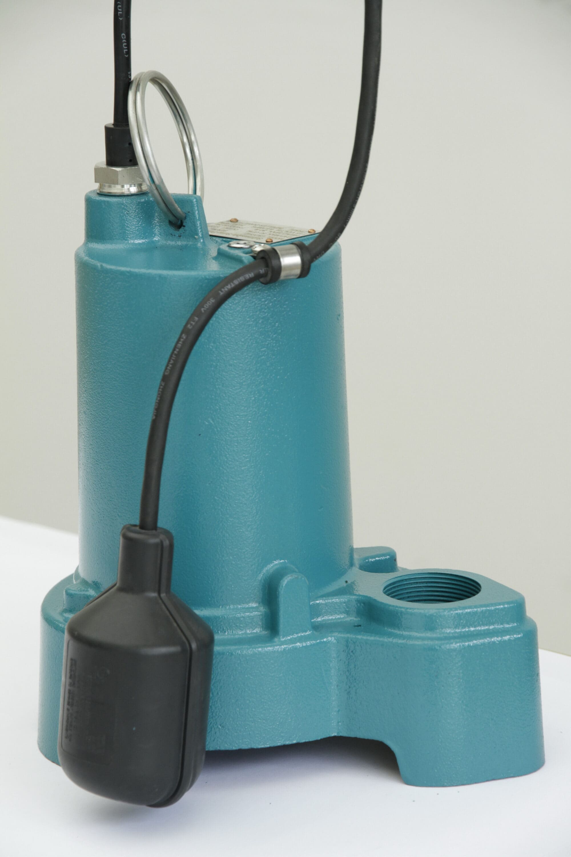 LEO LSUV312T 1/3-HP 115 -Volt 50.67-Gallon Cast iron Submersible sump pump