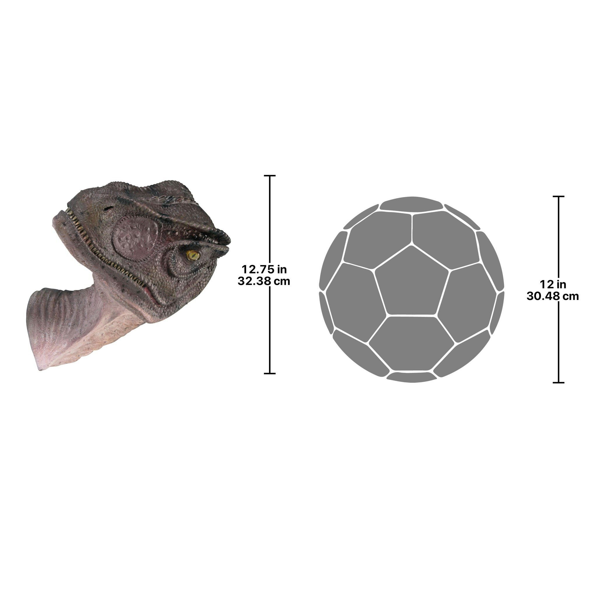 Design Toscano NE100014 Wall-Accents - View #9