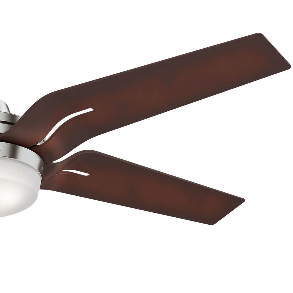 Correne 56" Brushed Nickel Ceiling Fan with Coffee Beech Blades and LED Light