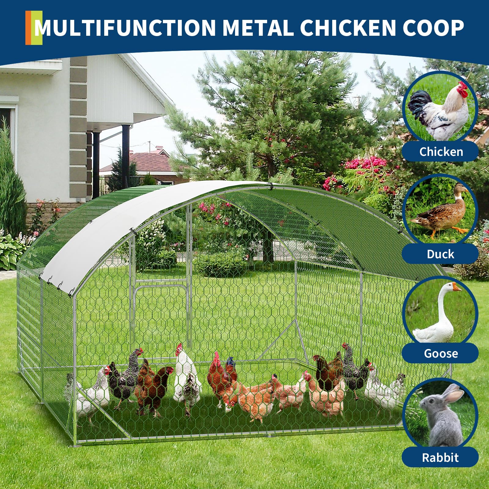 DEXSO ENCOREPPGBA9162 Chicken-Coops-Rabbit-Hutches - View #4