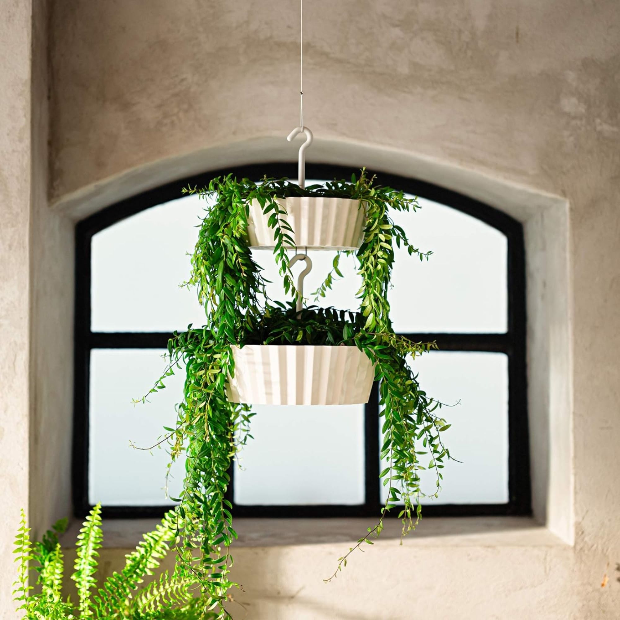 Tree Nest 6971825806488 Planter-Window-Box - View #4