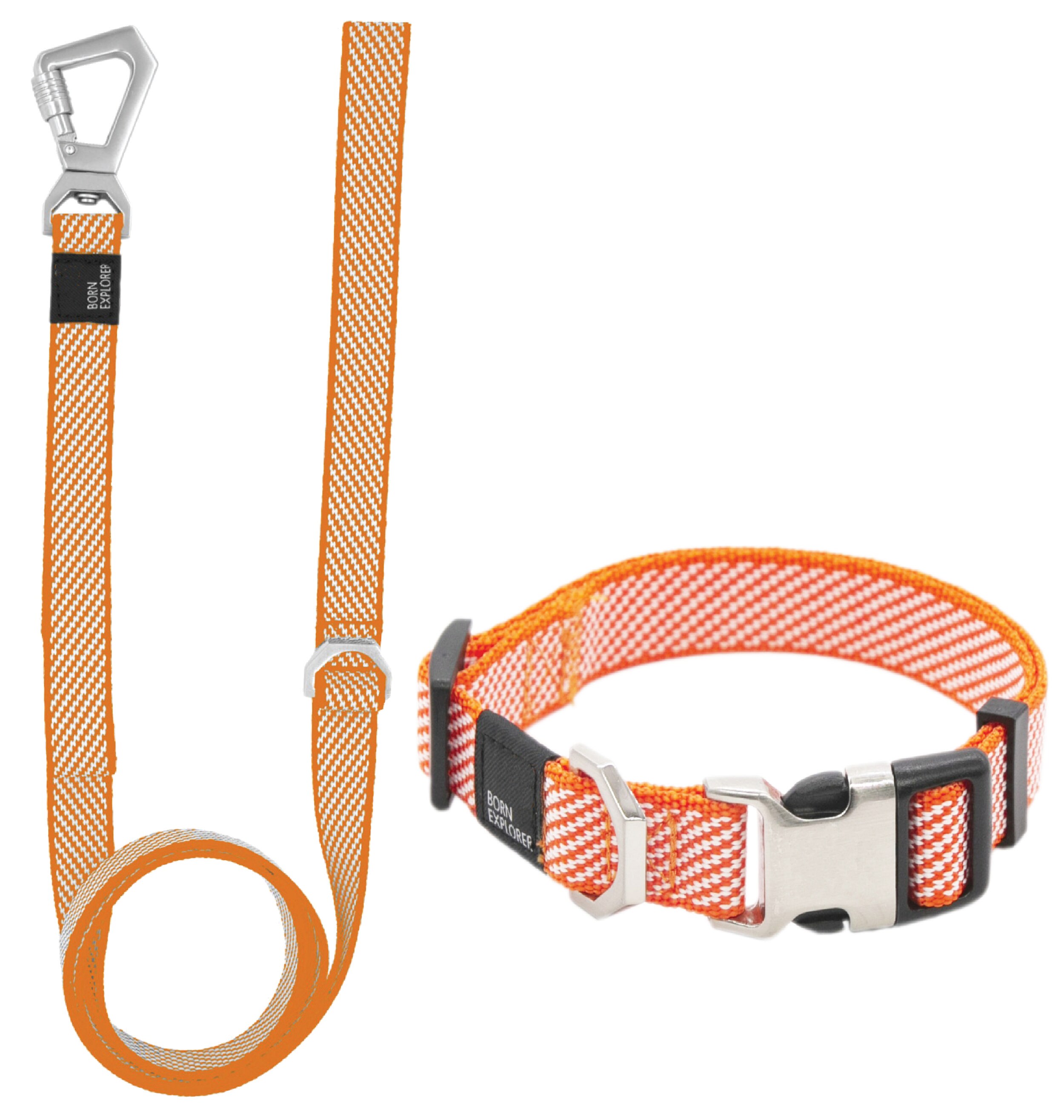 Cincinnati Bengals New Design Dog Collar and Leash