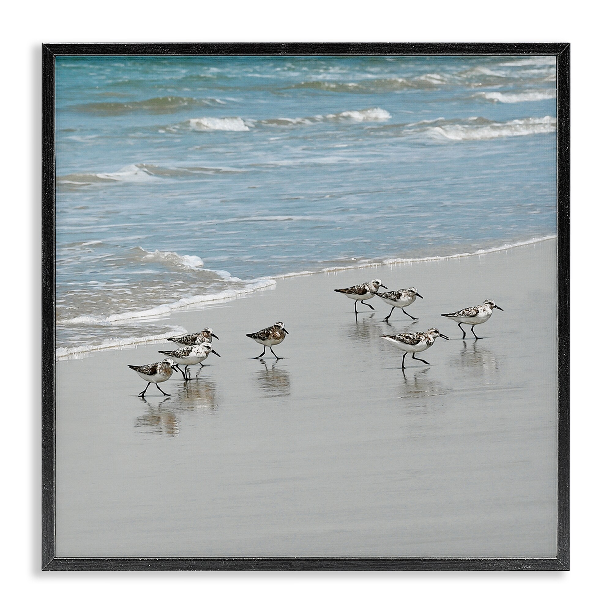 Stupell Industries Sandpipers Flock Sandy Beach Shore Framed Giclee Art