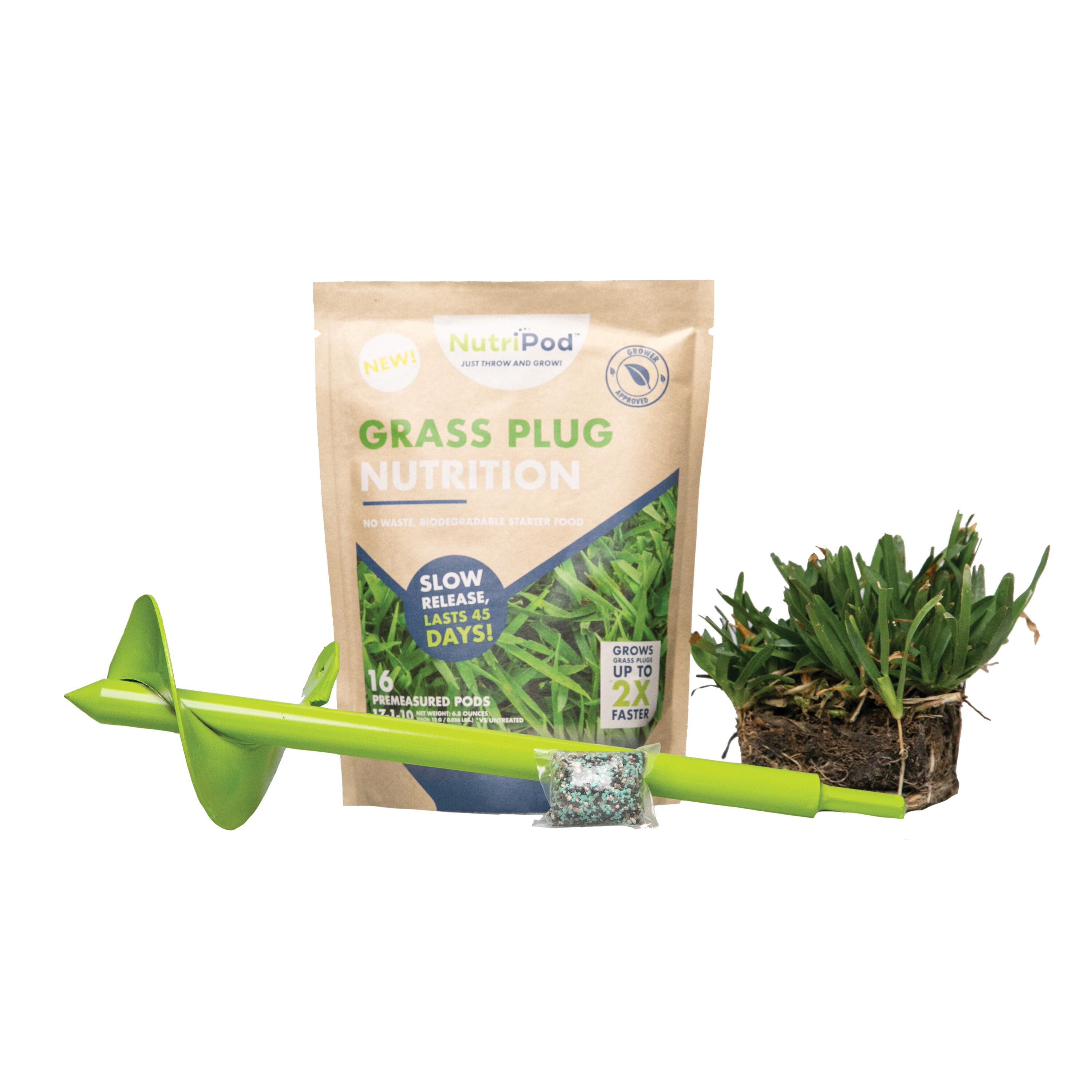 Bethel Farms BAUGT8TAM16NP 36-sq ft Natural St. Augustine Grass Sod Plug Lawn Repair SodPod ( Individual Piece Dimensions: 3-in x 3-in )