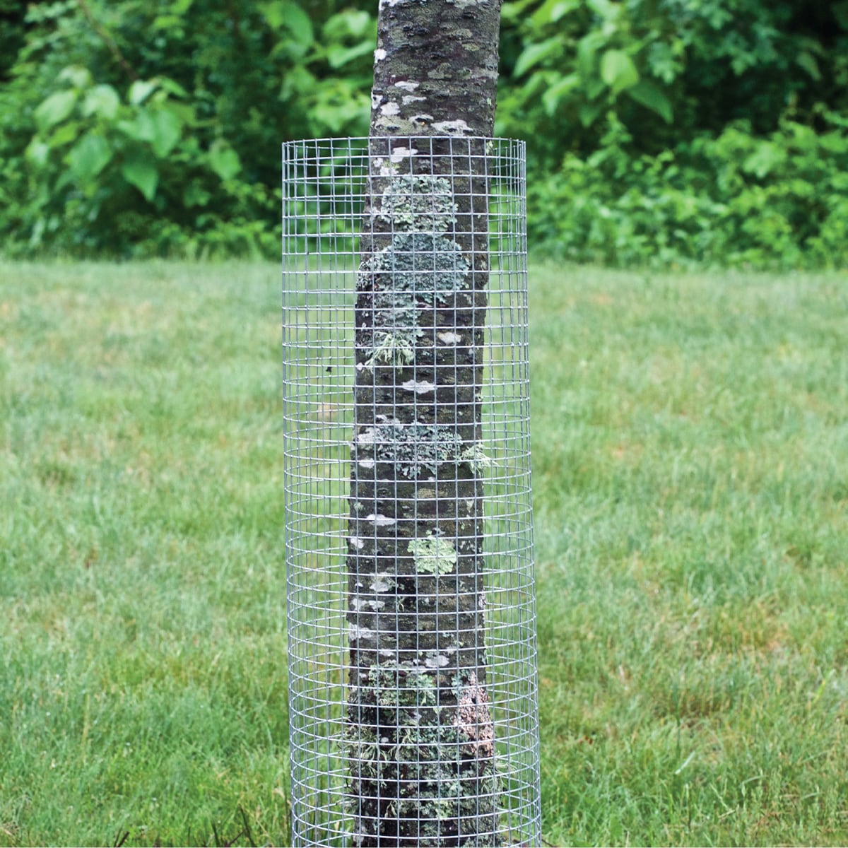 36 in. x 10 ft. Silver Galvanized Steel Hardware Cloth
