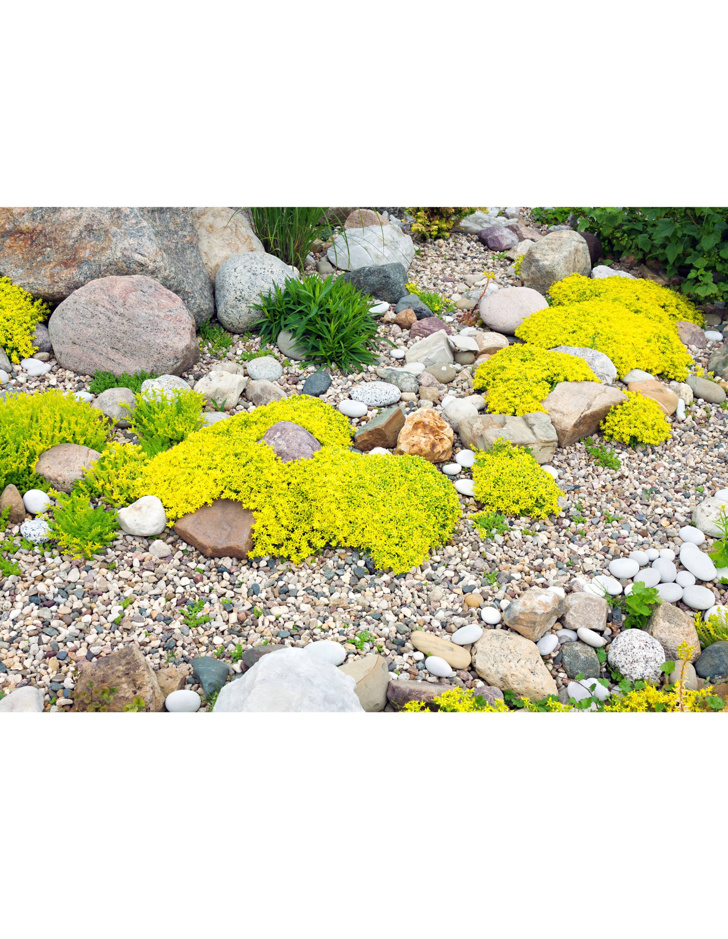 Anchorage Sand & Gravel 132750 Landscaping-Rock - View #3